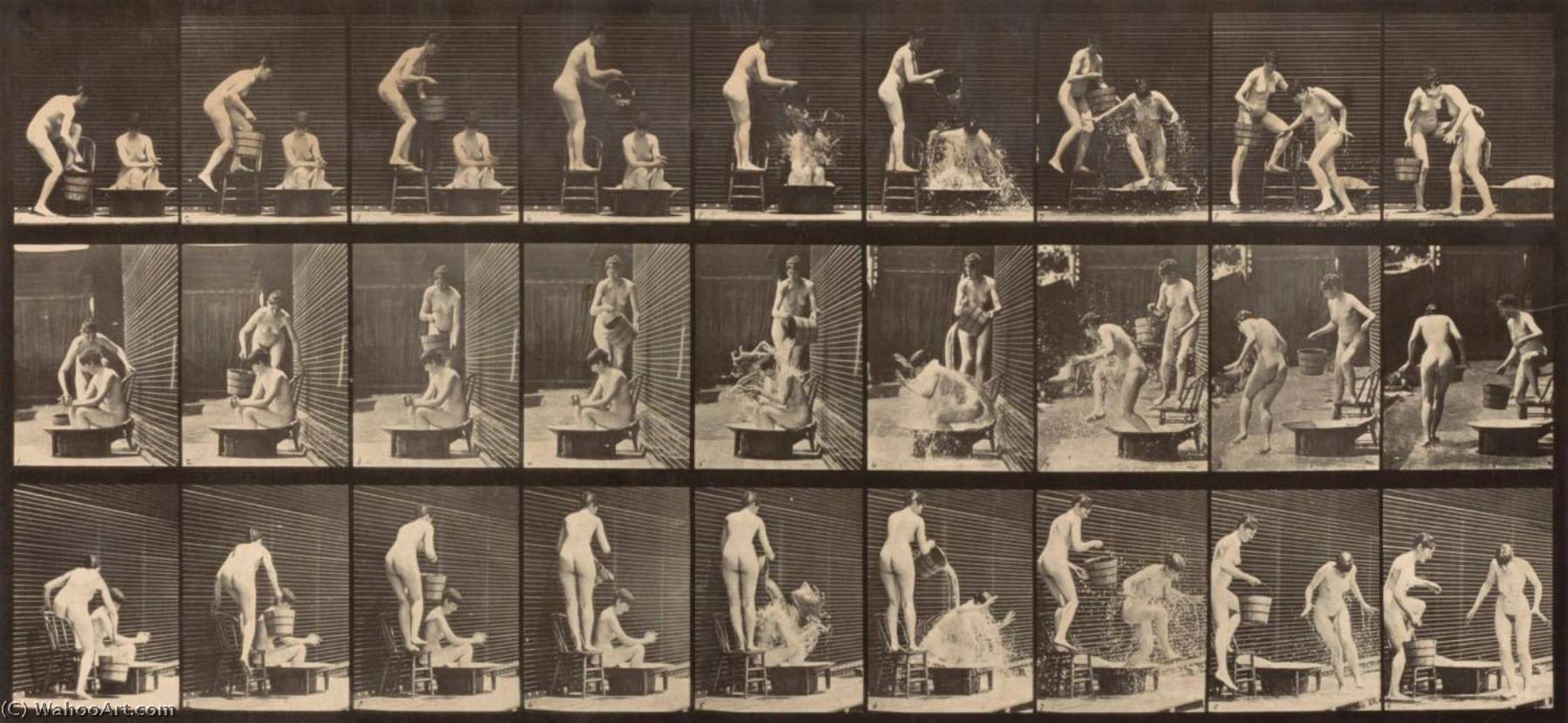 Woman Pouring Basin Of Water Over Another Woman's Head, From The Book Animal Locomotion — Eadweard J Muybridge