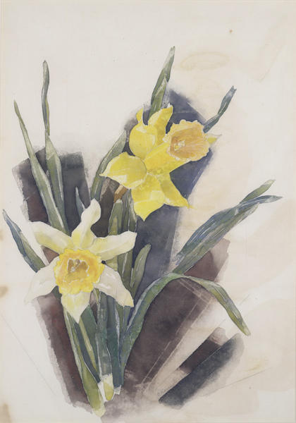 Daffodils — Charles Demuth