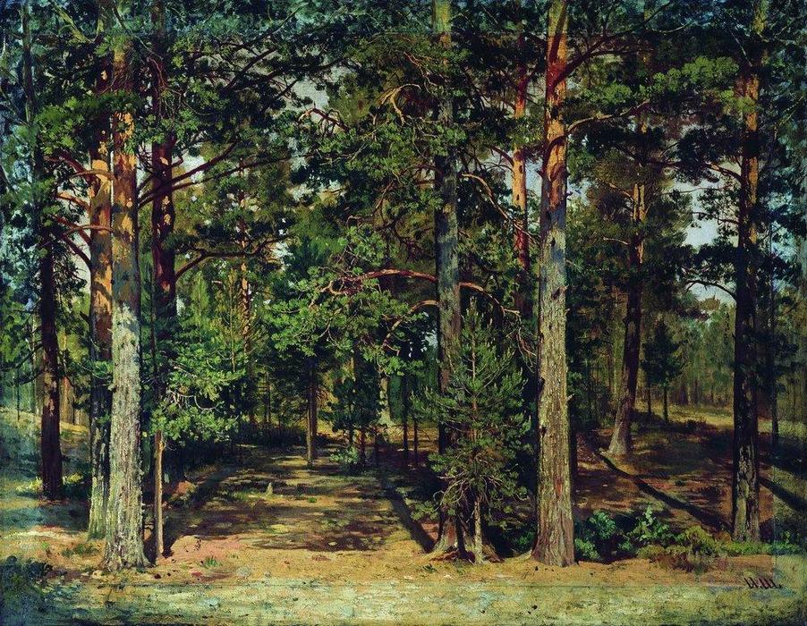 Pine Forest (10) — Иван Шишкин
