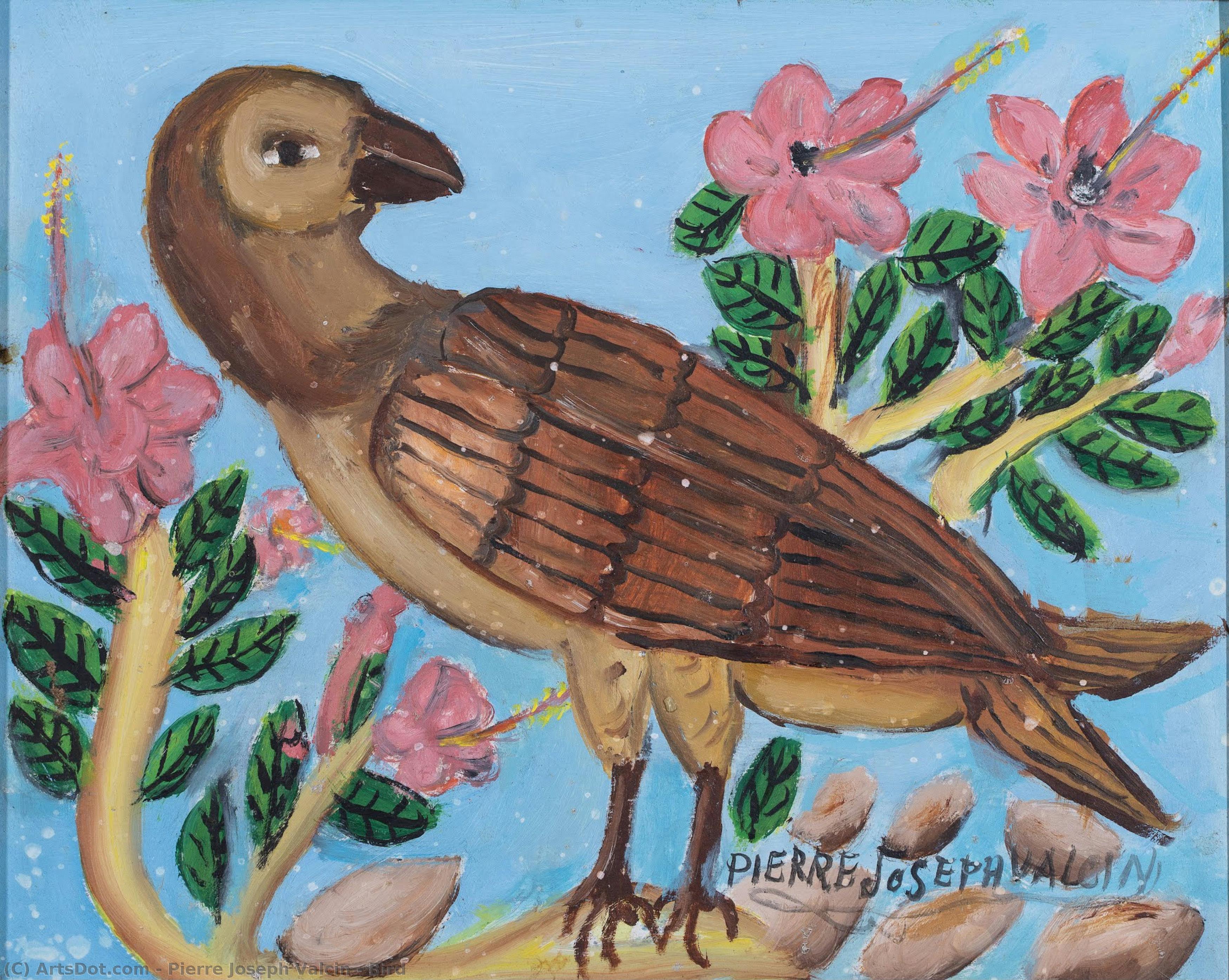 Bird — Pierre Joseph Valcin