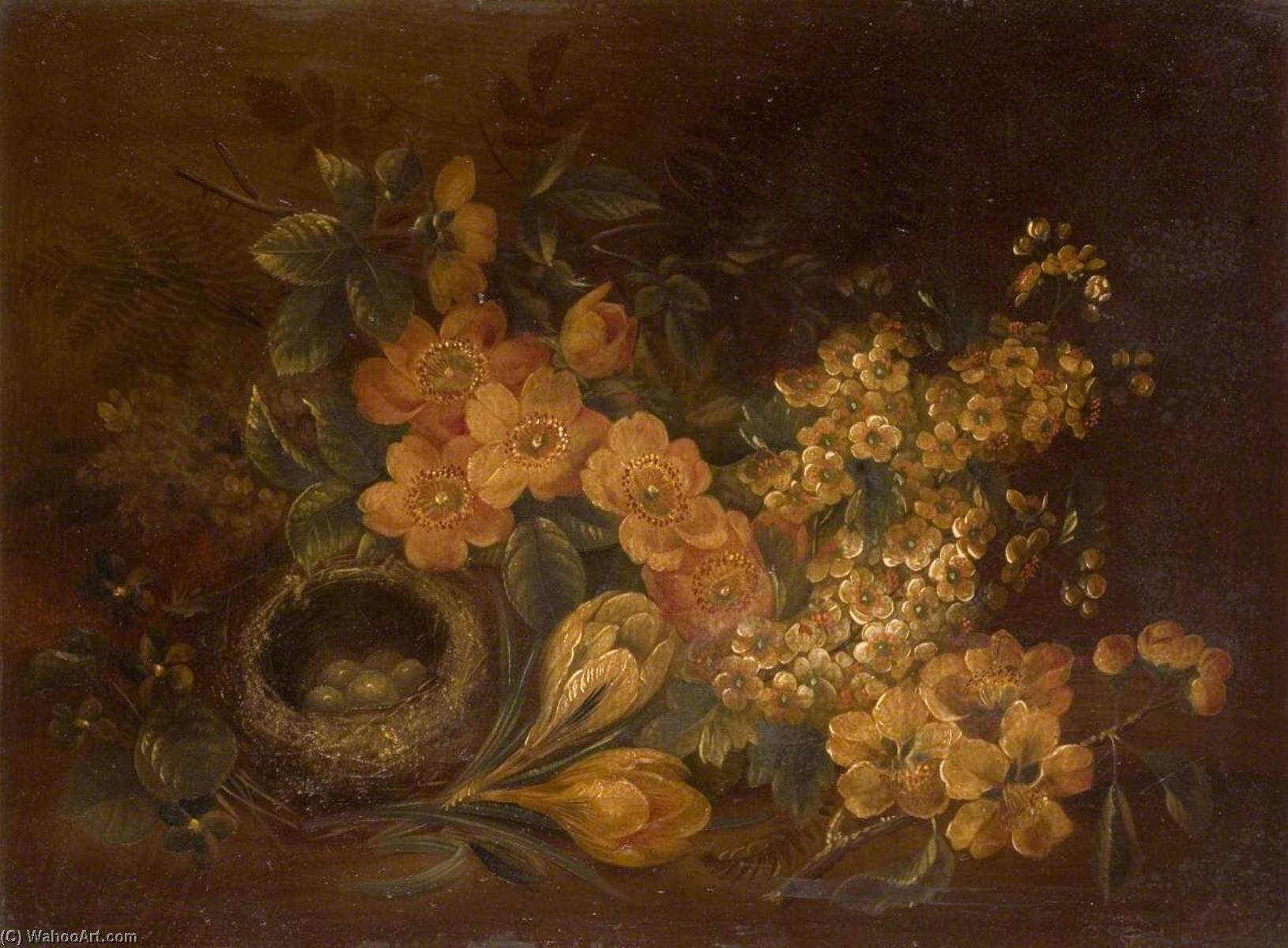 Still Life Of Flowers And Bird's Nest — Edwin Steele