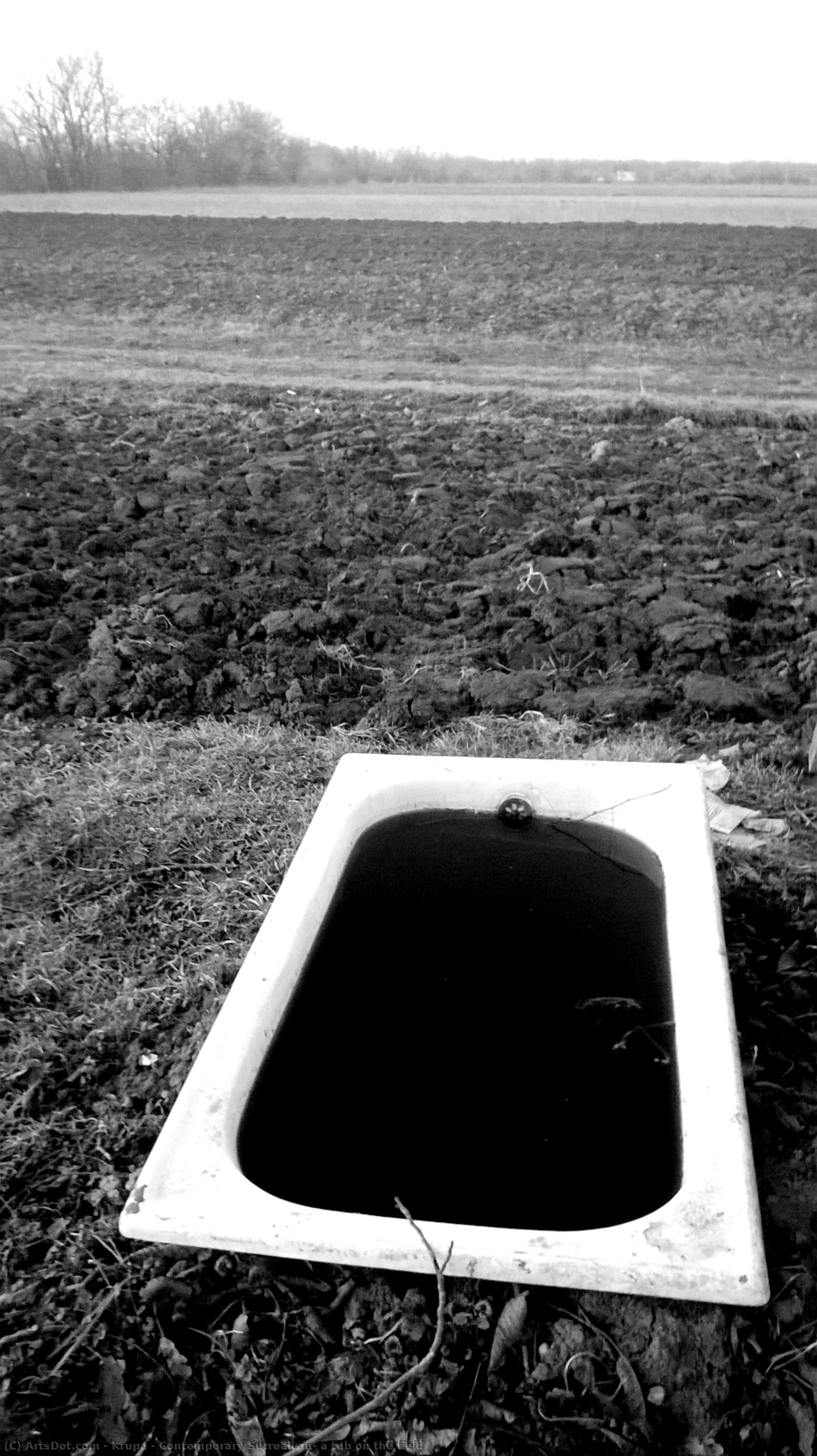 Contemporary Surrealism: A Tub On The Field — Alfred Freddy Krupa