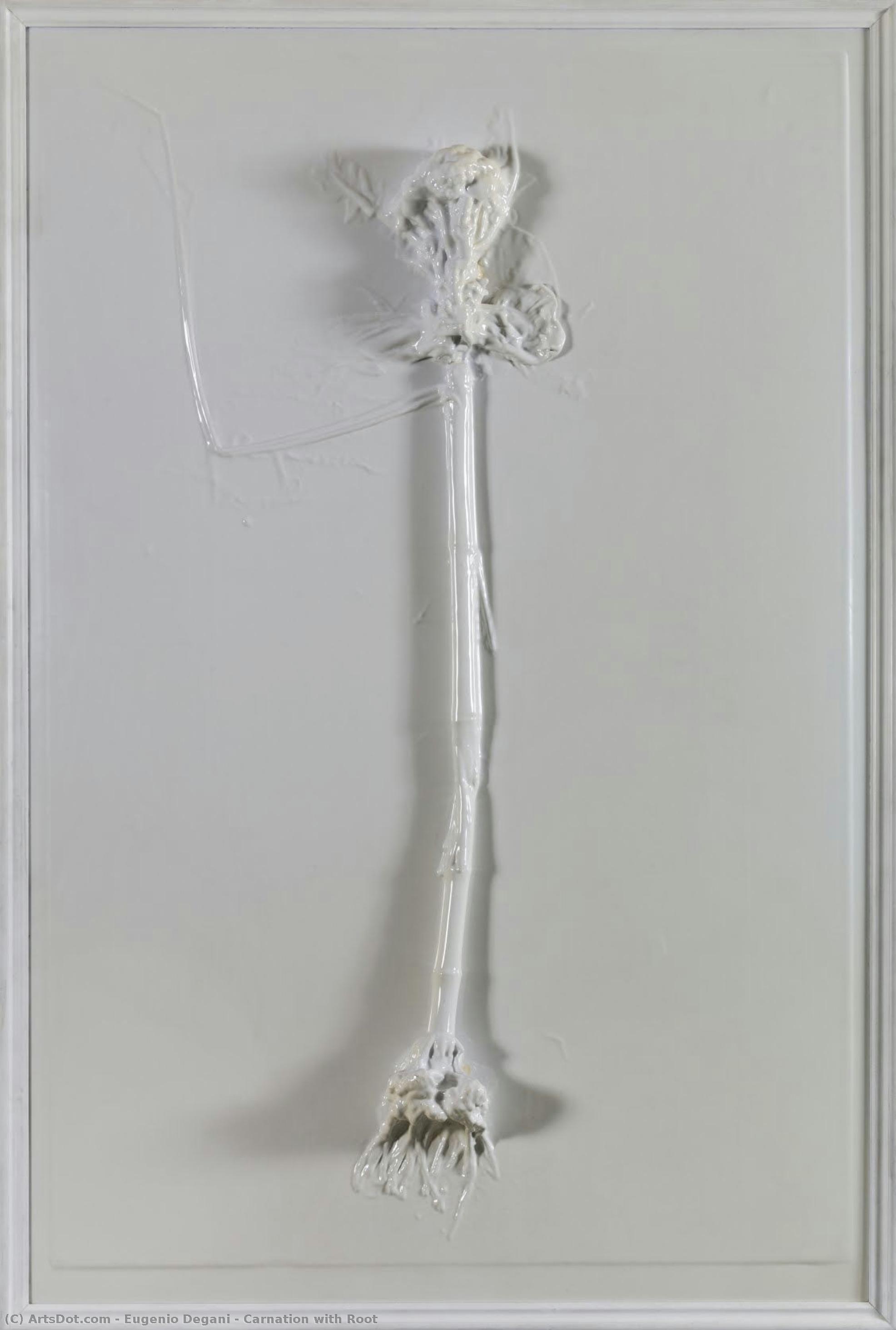 Carnation With Root — Eugenio Degani