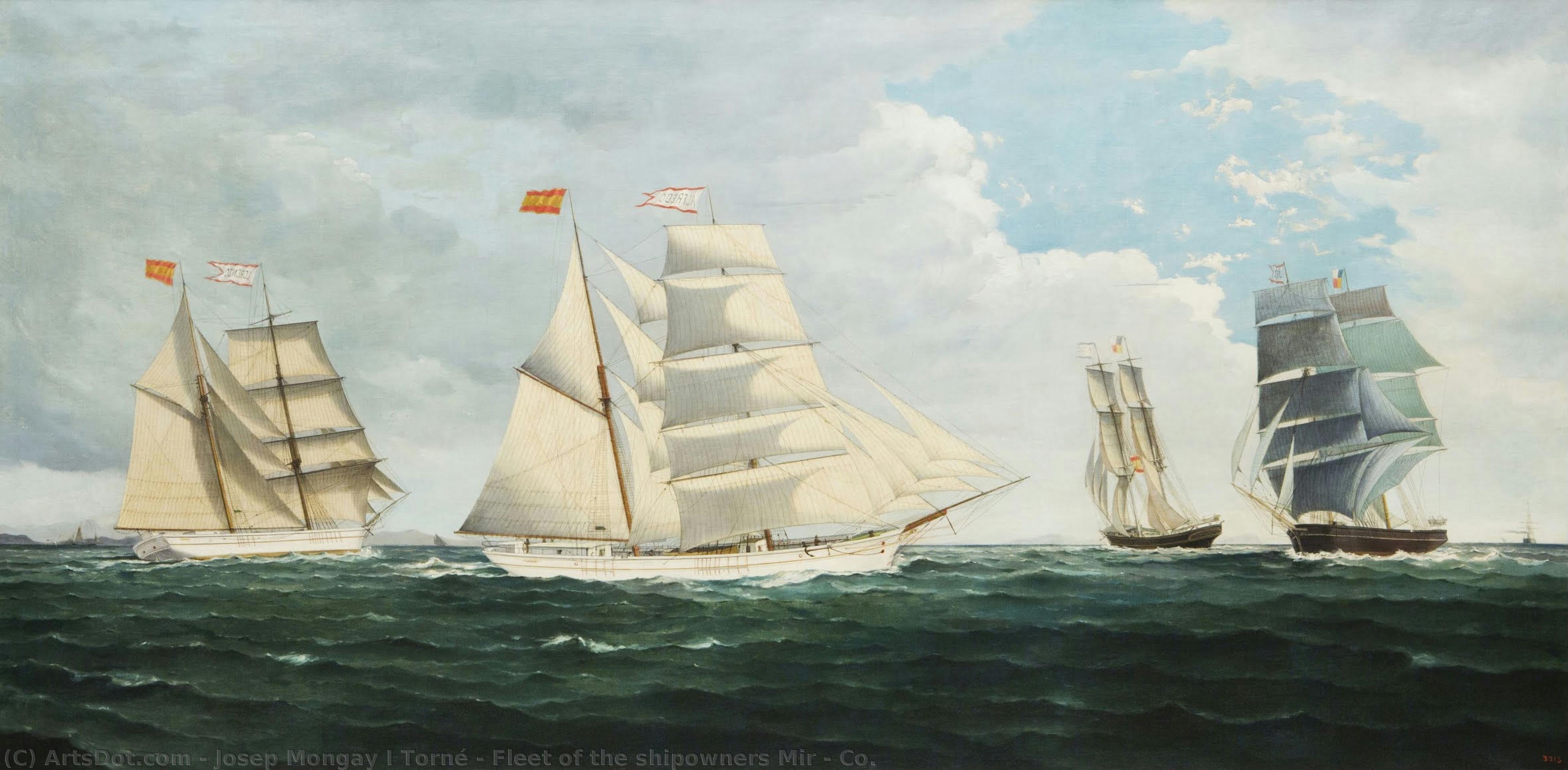 Fleet Of The Shipowners Mir & Co. — Josep Mongay I Torné