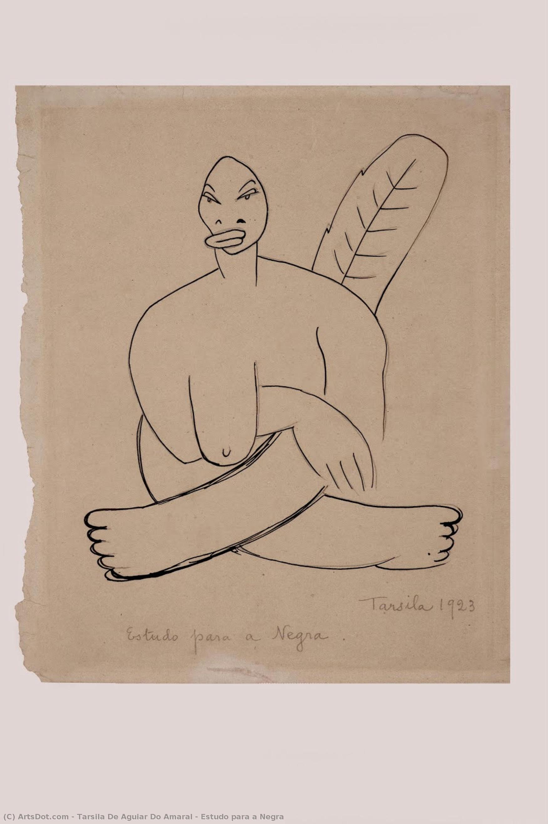 Estudo Para A Negra — Tarsila Do Amaral