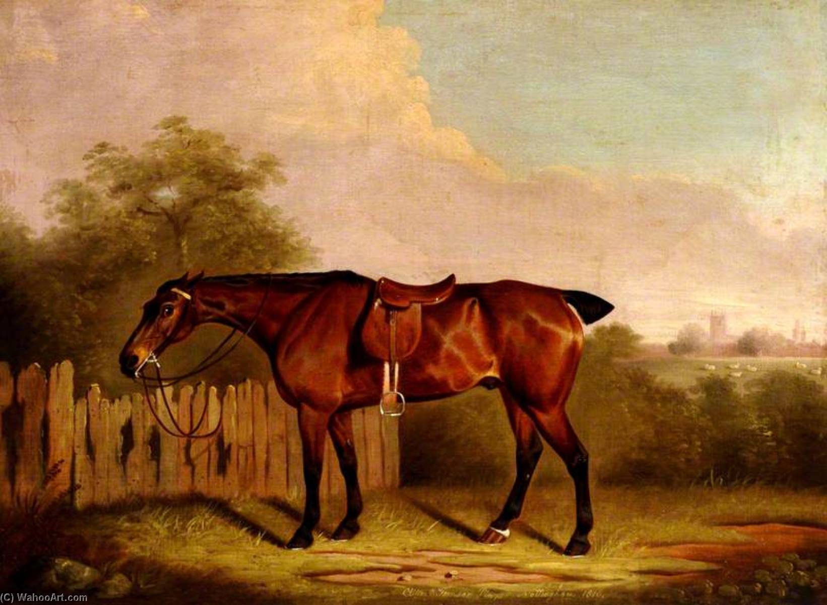 A Saddled Bay Hunter In A Landscape, Beside A Fence — Clifton Tomson