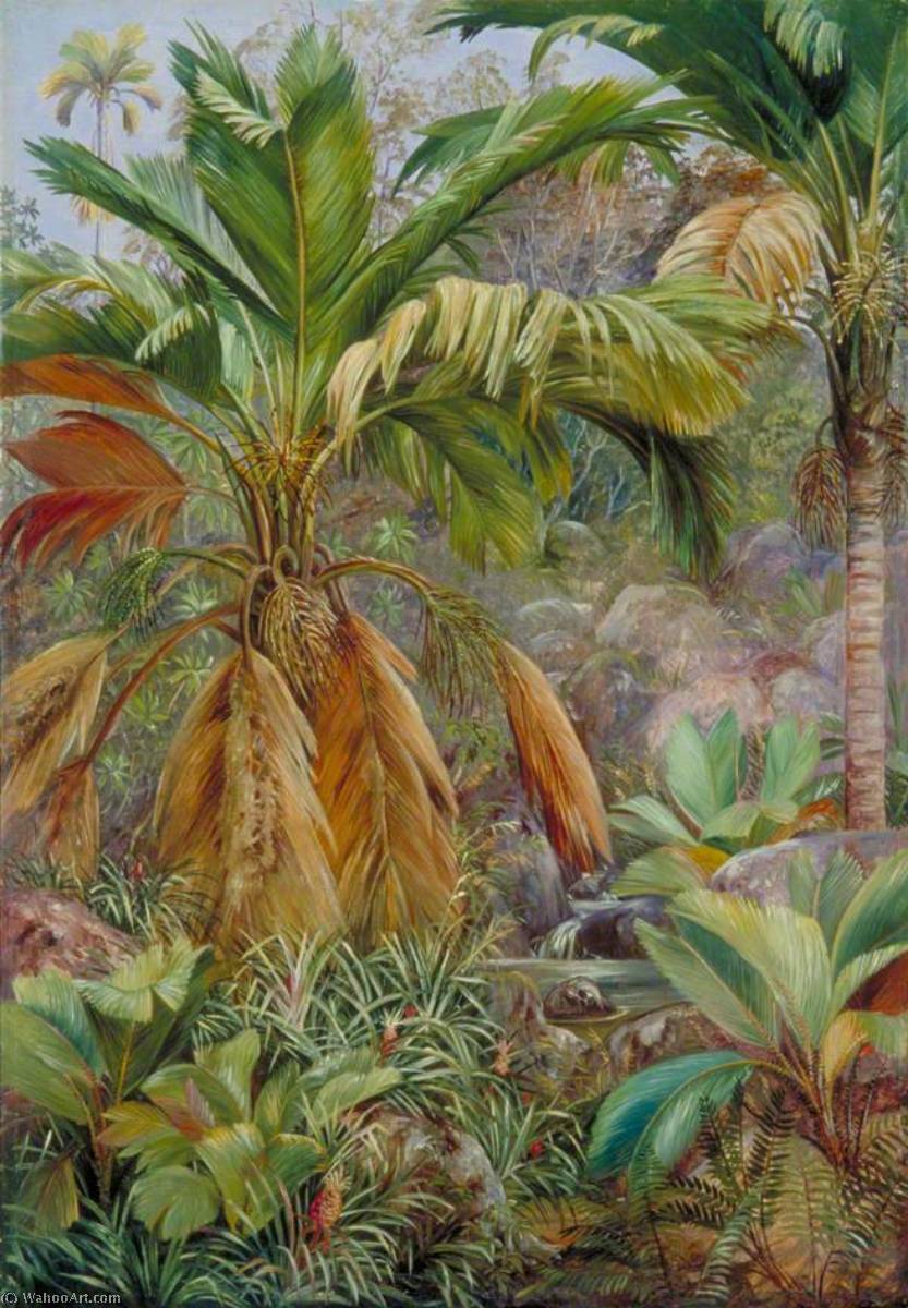 Wild Pine Apples And Stevensonia, And Other Palms, Praslin — Marianne North