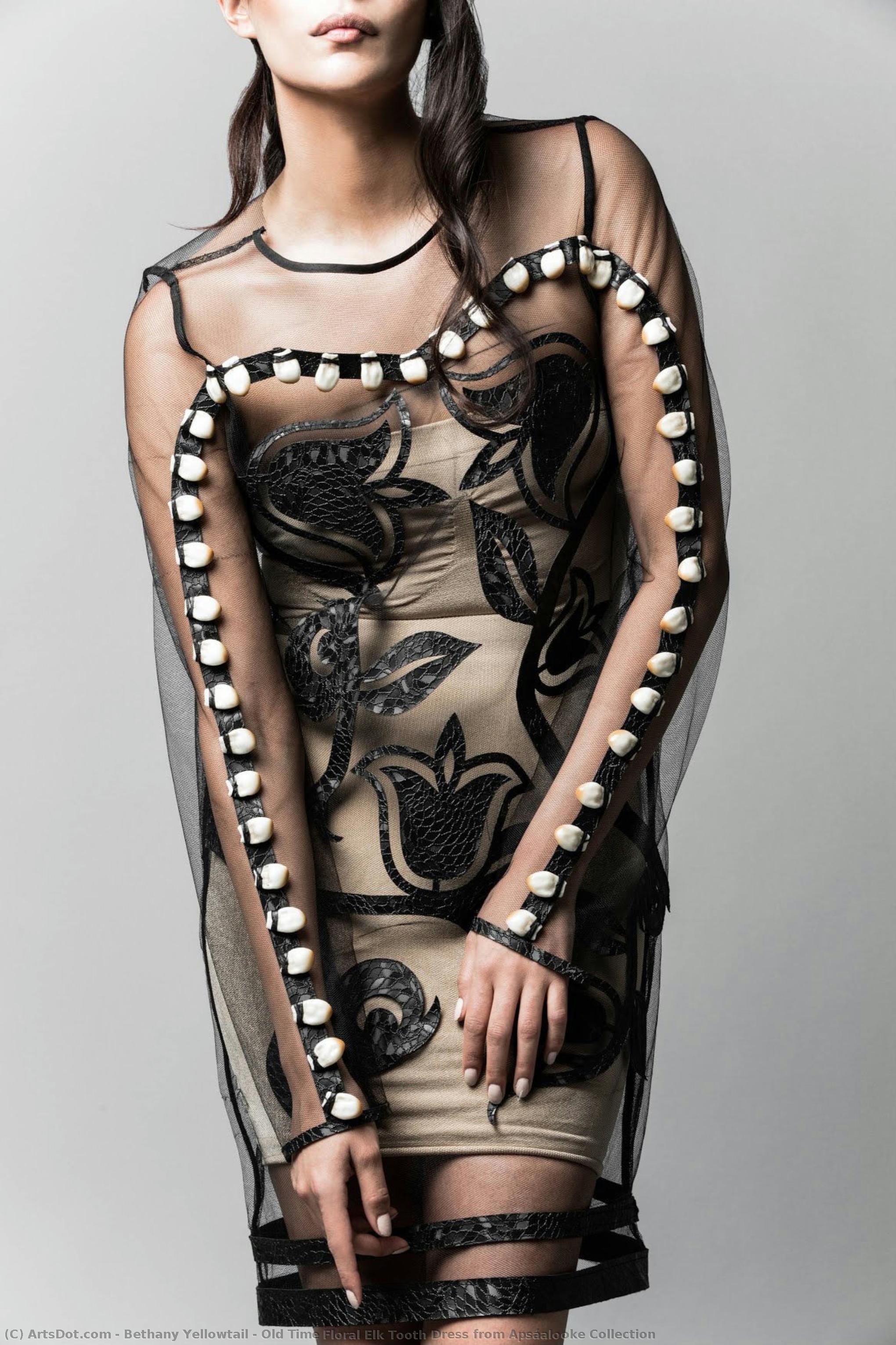 Old Time Floral Elk Tooth Dress From Apsáalooke Collection — Bethany Yellowtail