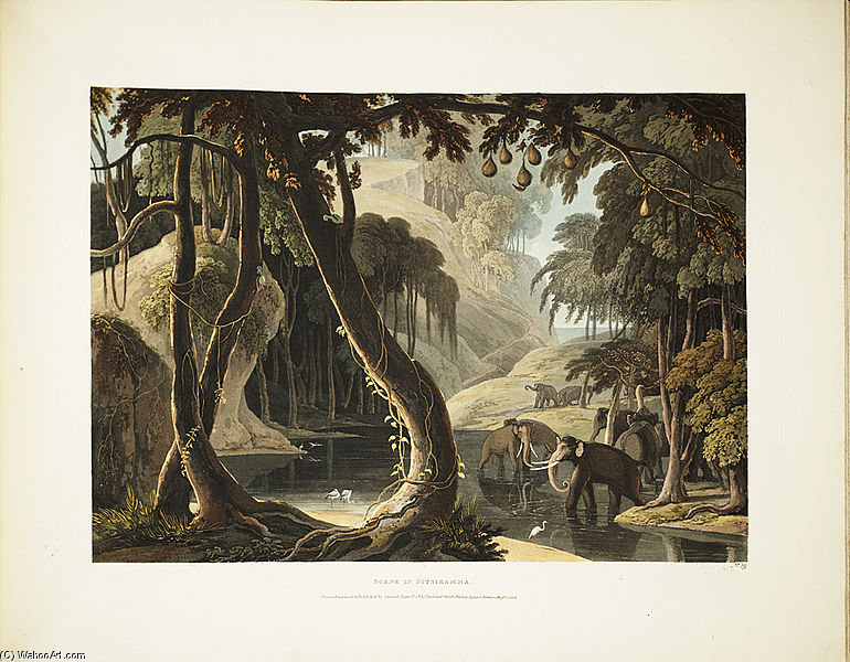 A Scene In Sitsikamma — Сэмюэл Дэниел
