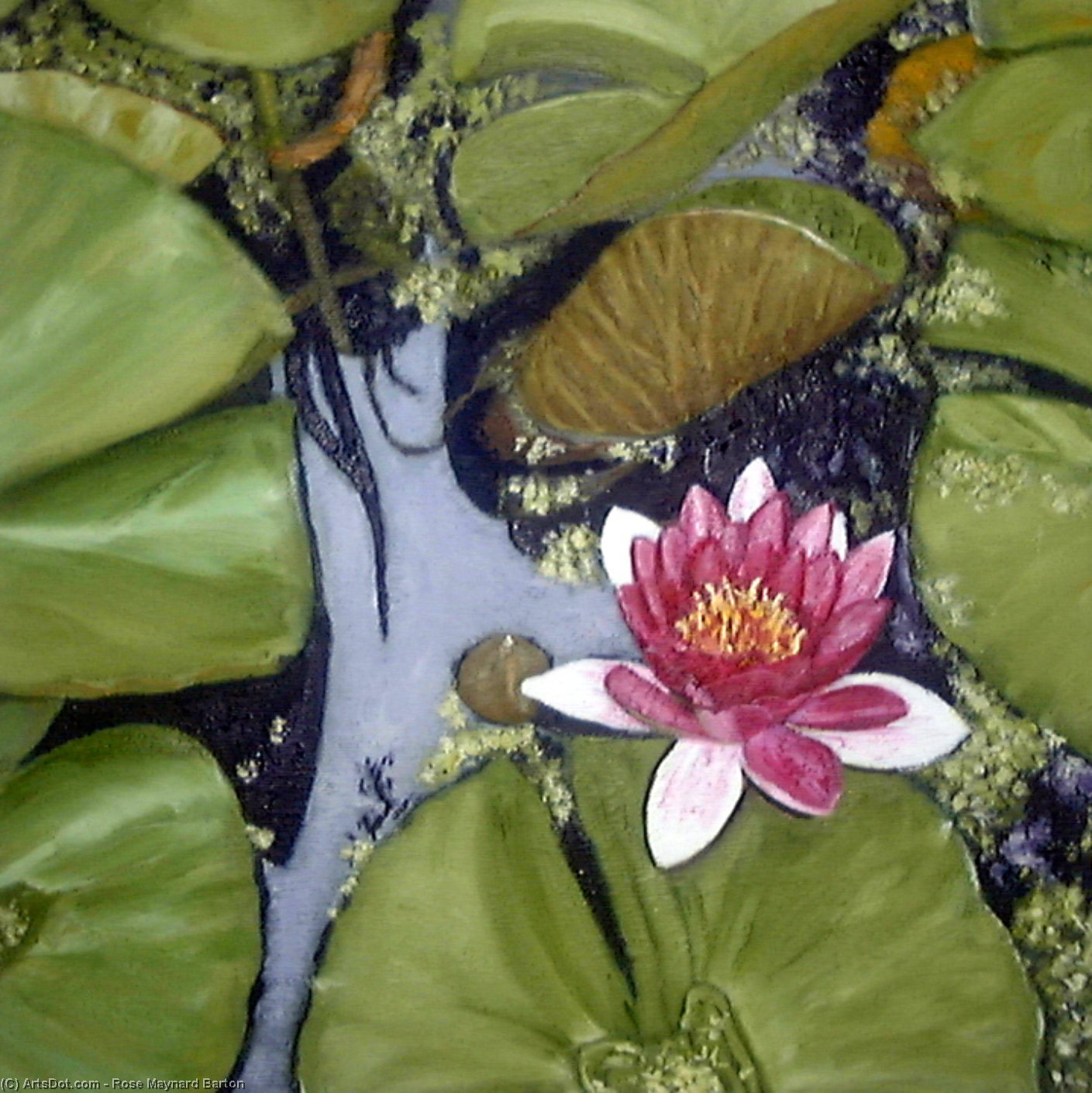 Waterlily Pond — Роза Мейнард Бёртон