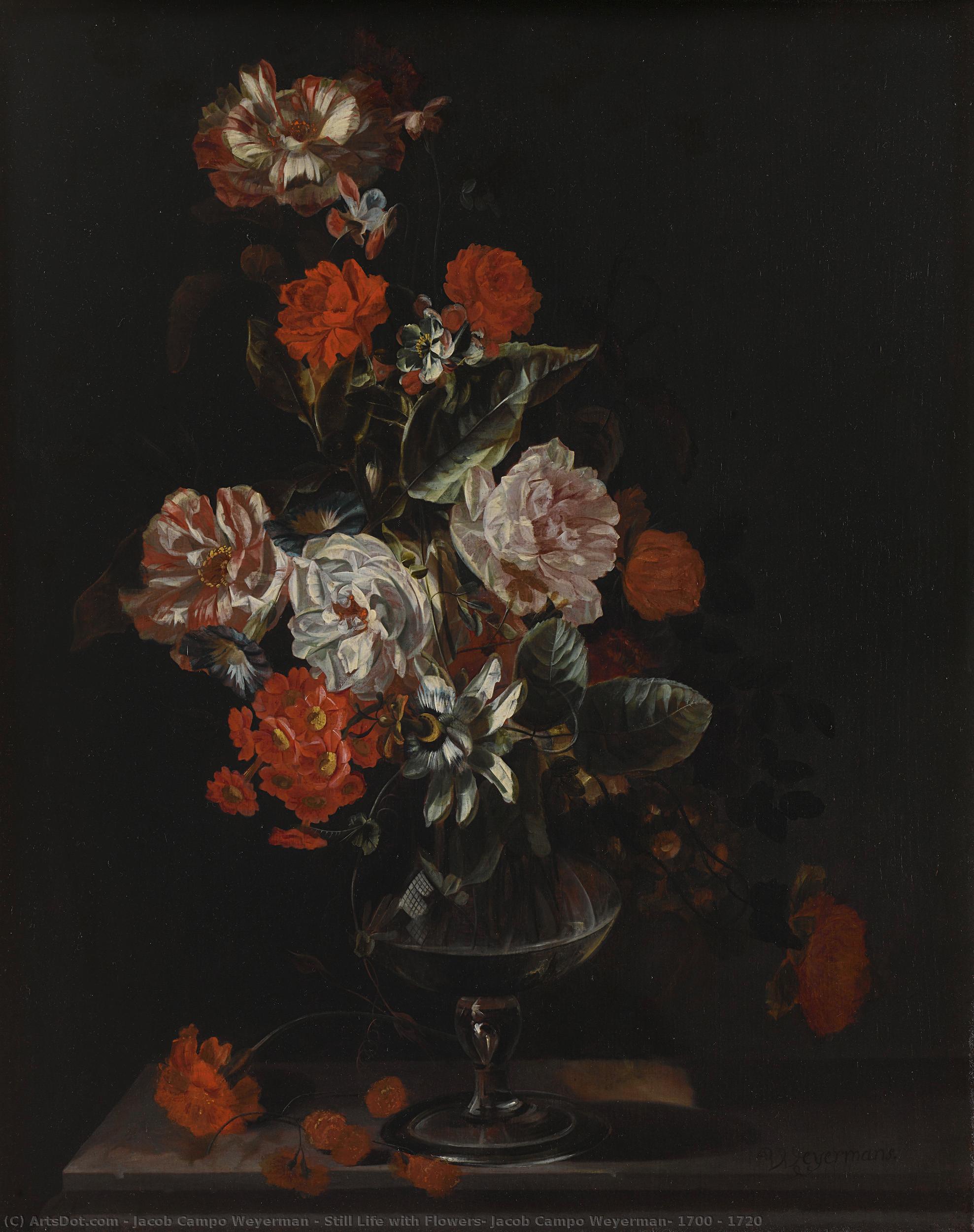 Still Life With Flowers, Jacob Campo Weyerman, 1700 - 1720 — Jacob Campo Weyerman