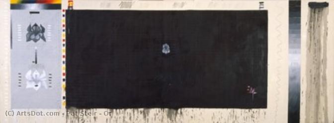 Or — Pat Steir