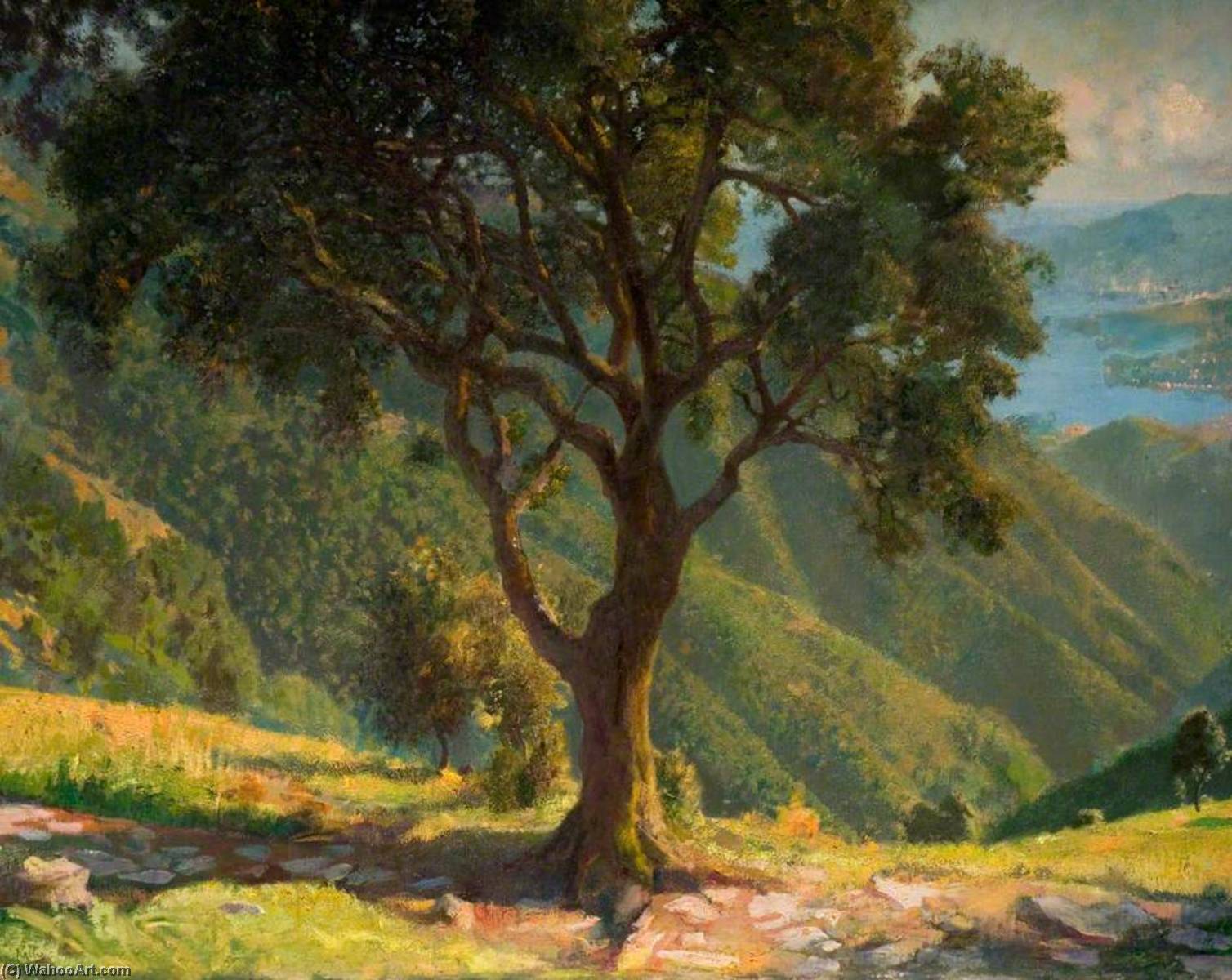 The Ilex Tree — Džerald Festus Keli
