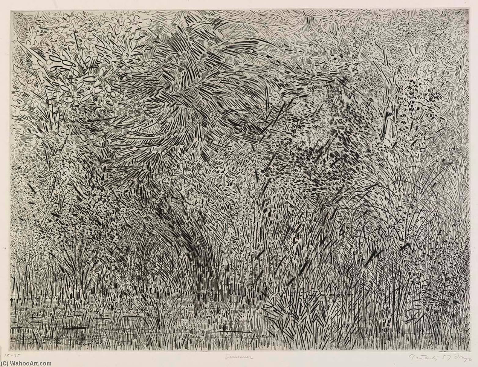Summer — Gabor Peterdi