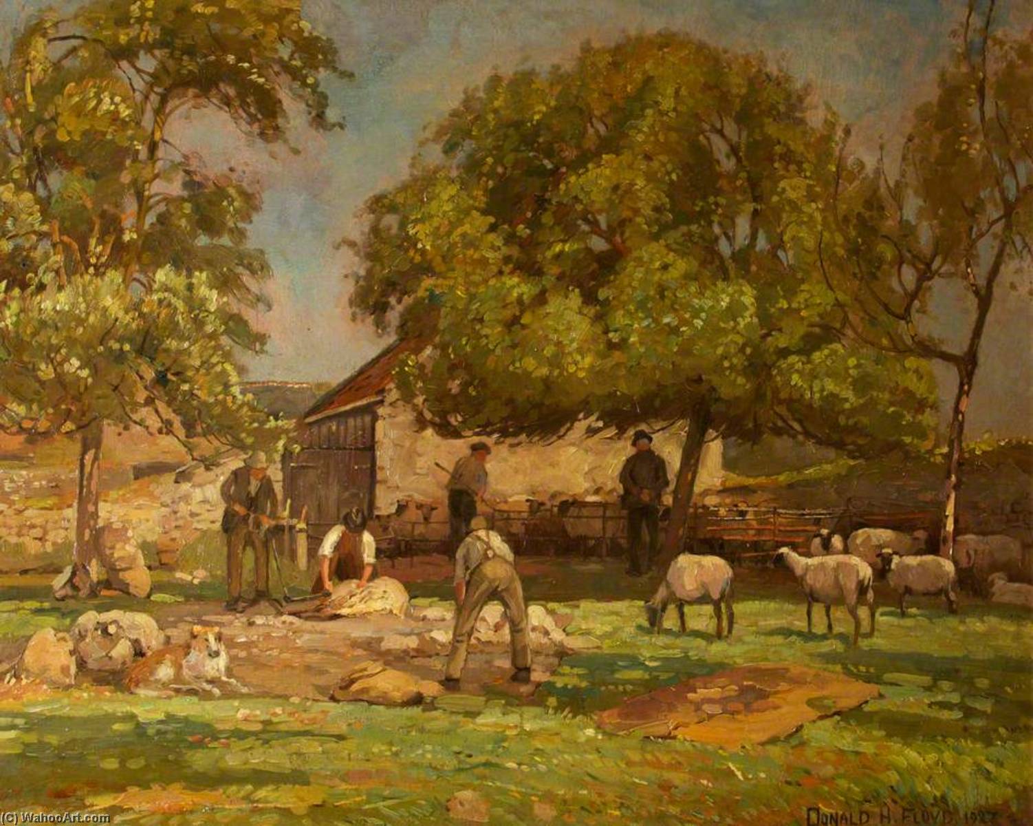 Sheep Shearing, Caldicot — Donald Henry Floyd