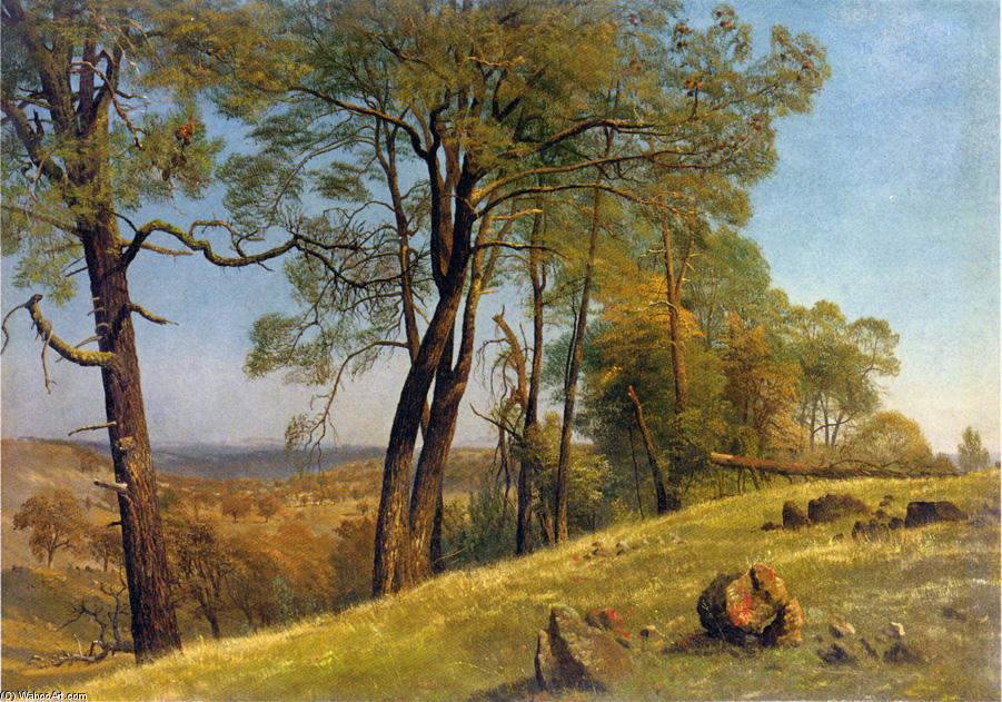Landscape, Rockland County, California — Albert Bierstadt