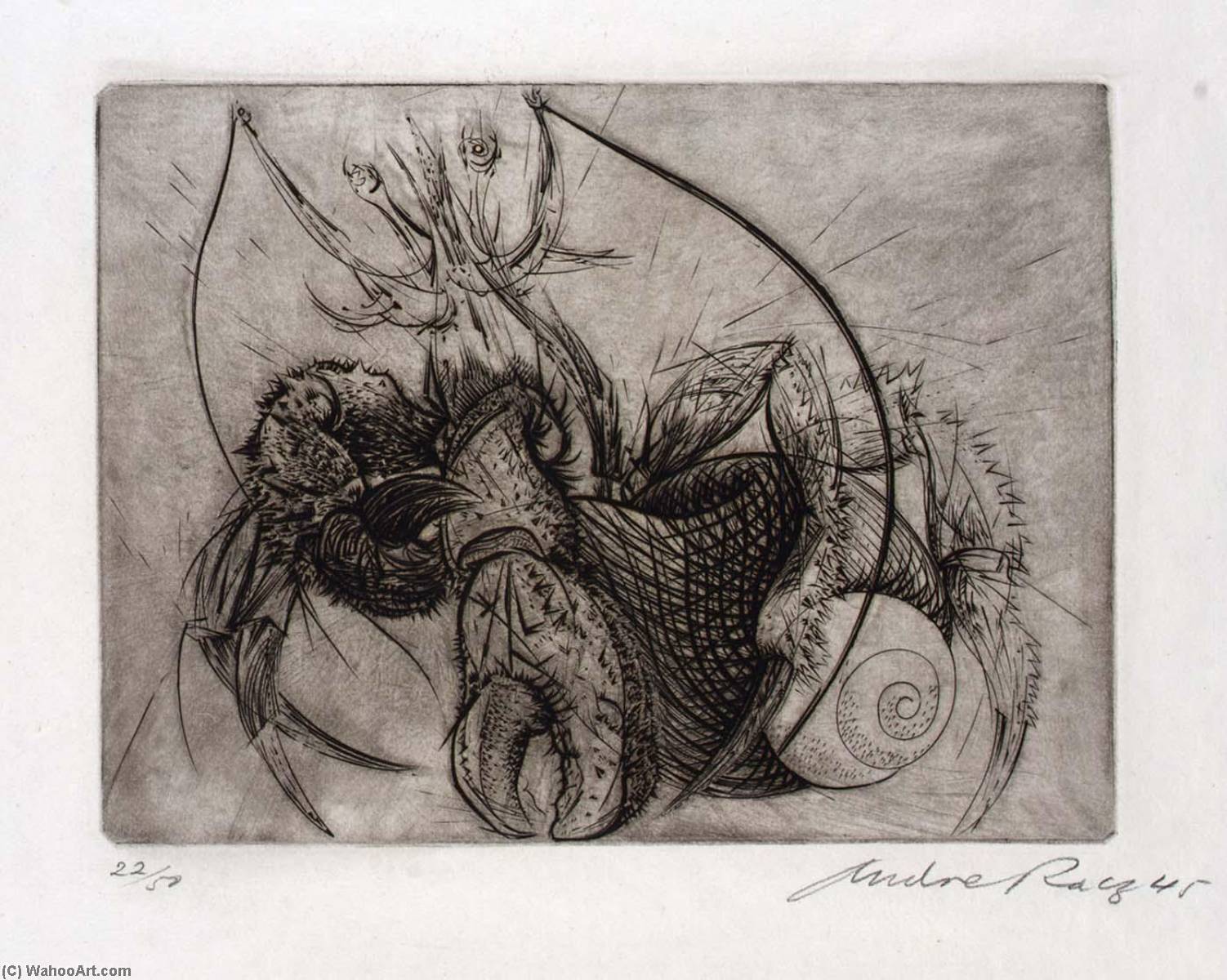 Hermit Crab, From The Portfolio, Reign Of Claws — Andre Racz