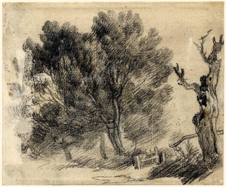 Study Of Willows — Гейнсборо