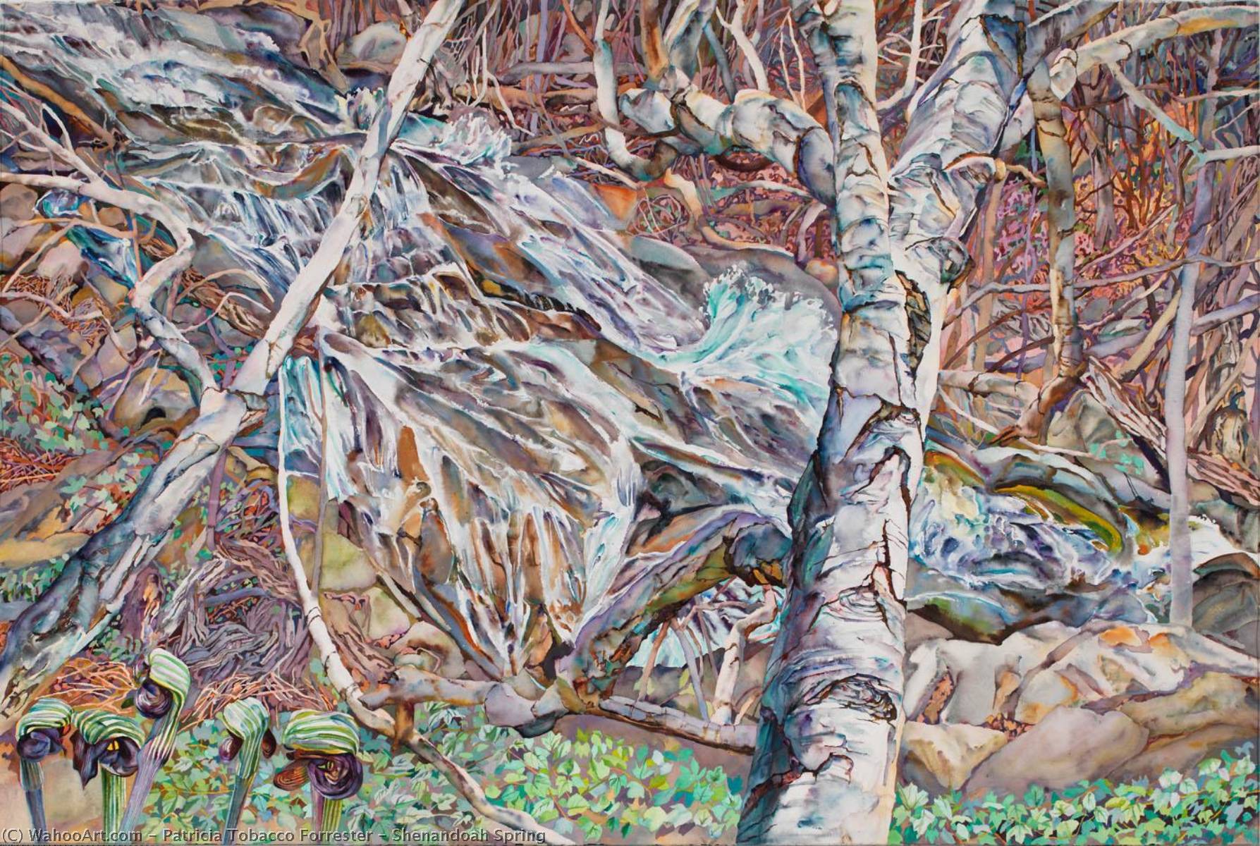 Shenandoah Spring — Patricia Tobacco Forrester