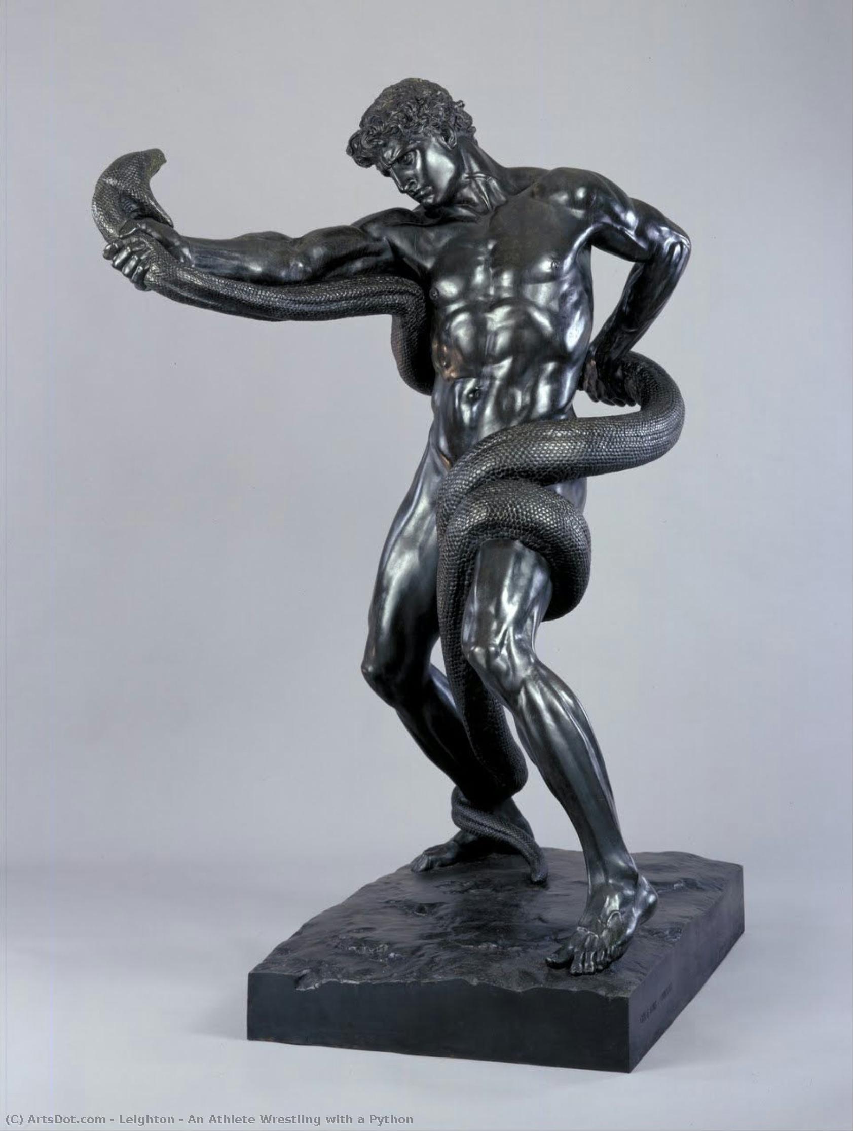 An Athlete Wrestling With A Python — Clare Veronica Hope