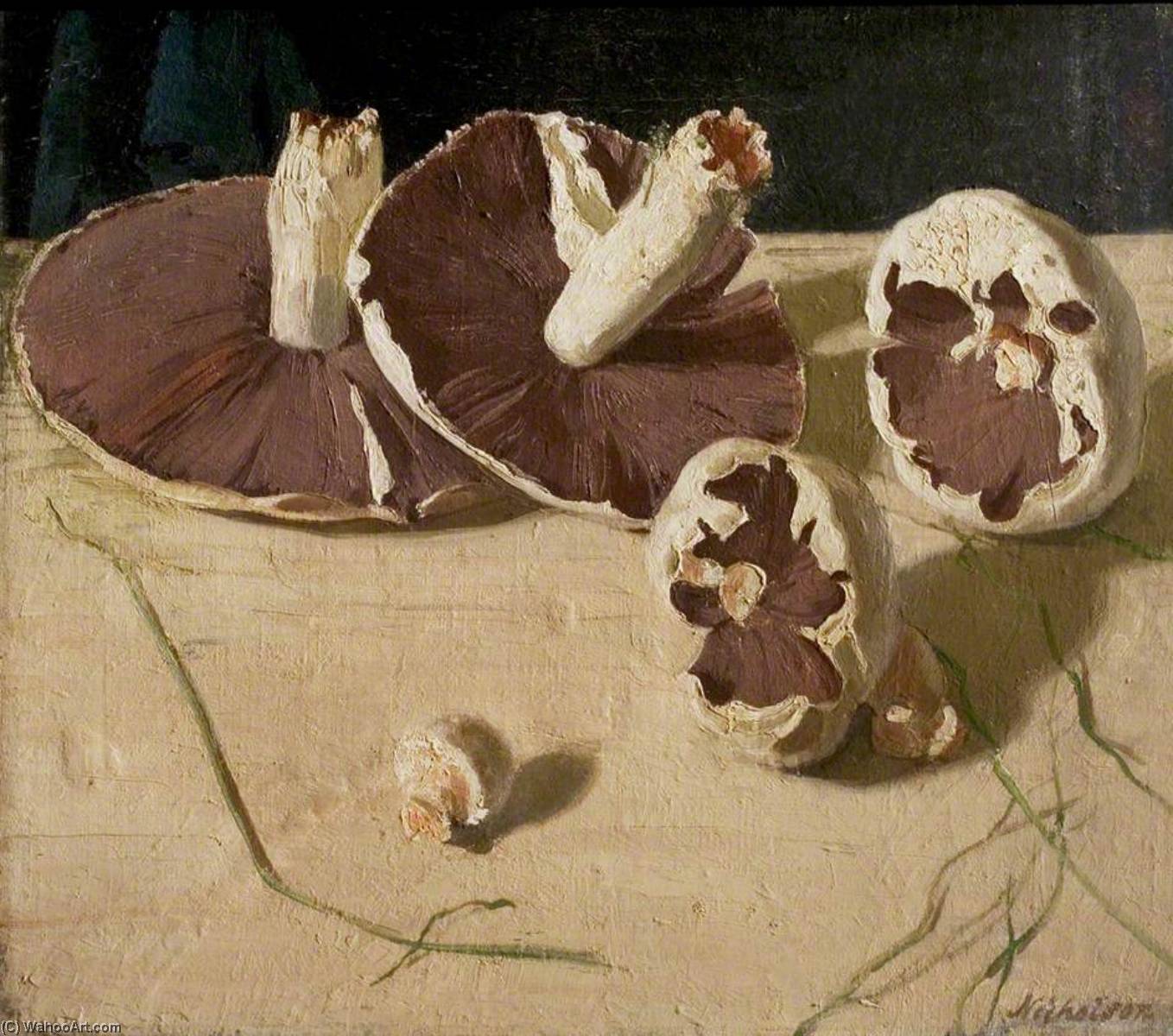 Mushrooms — Vilijam Nikolson