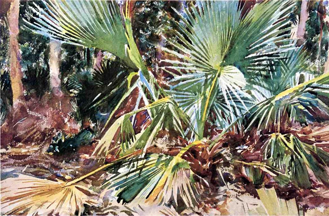 Palmettos, Florida — John Singer Sargent