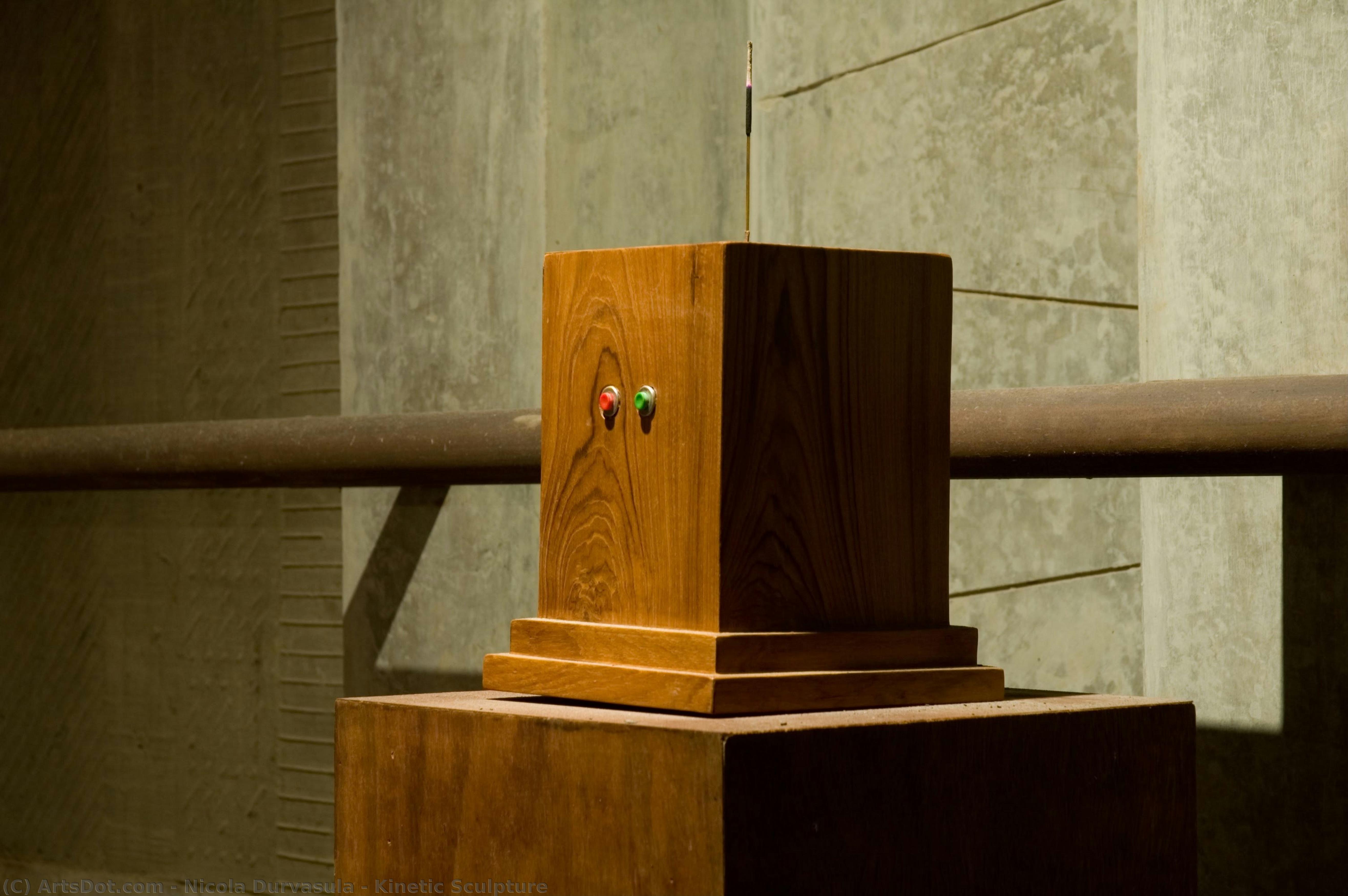 Kinetic Sculpture — Никола Дурвазула