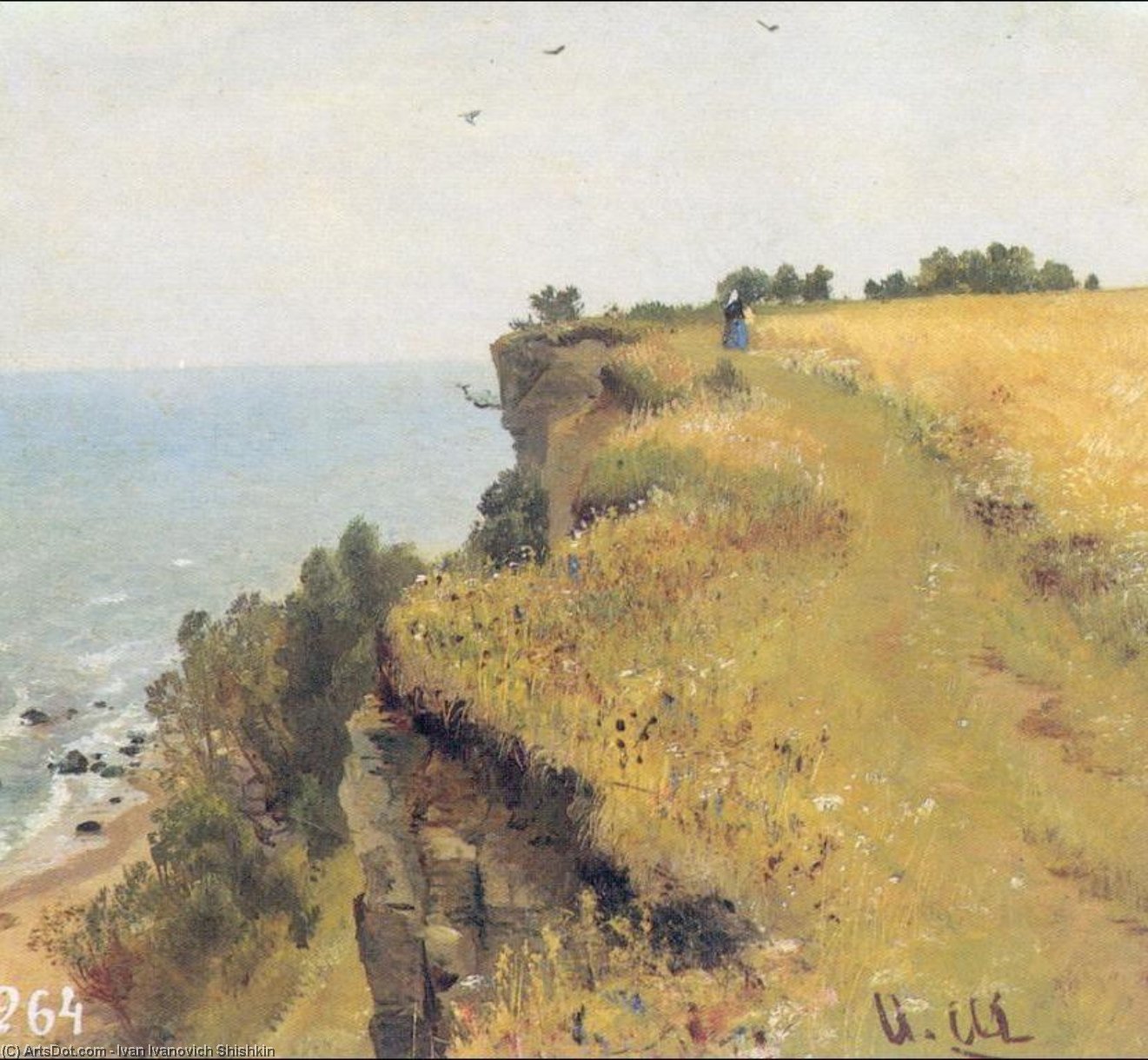 Near Coast Of Gulf Of Finland (study) — Ivan Ivanovich Shishkin