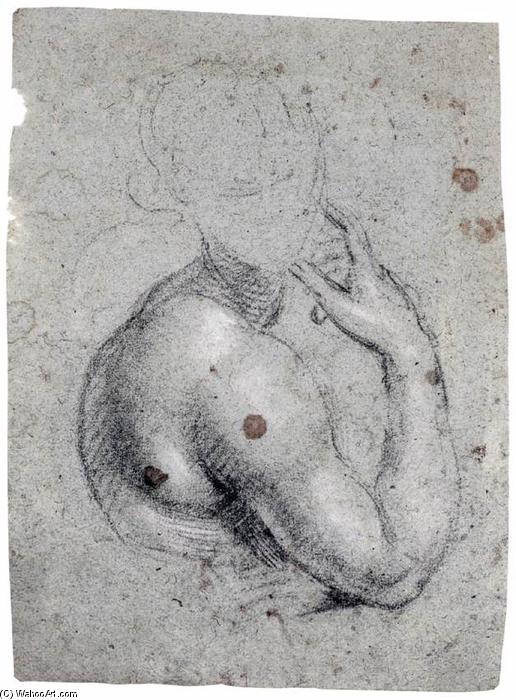 Study Of A Half-length Figure — Simone Peterzano