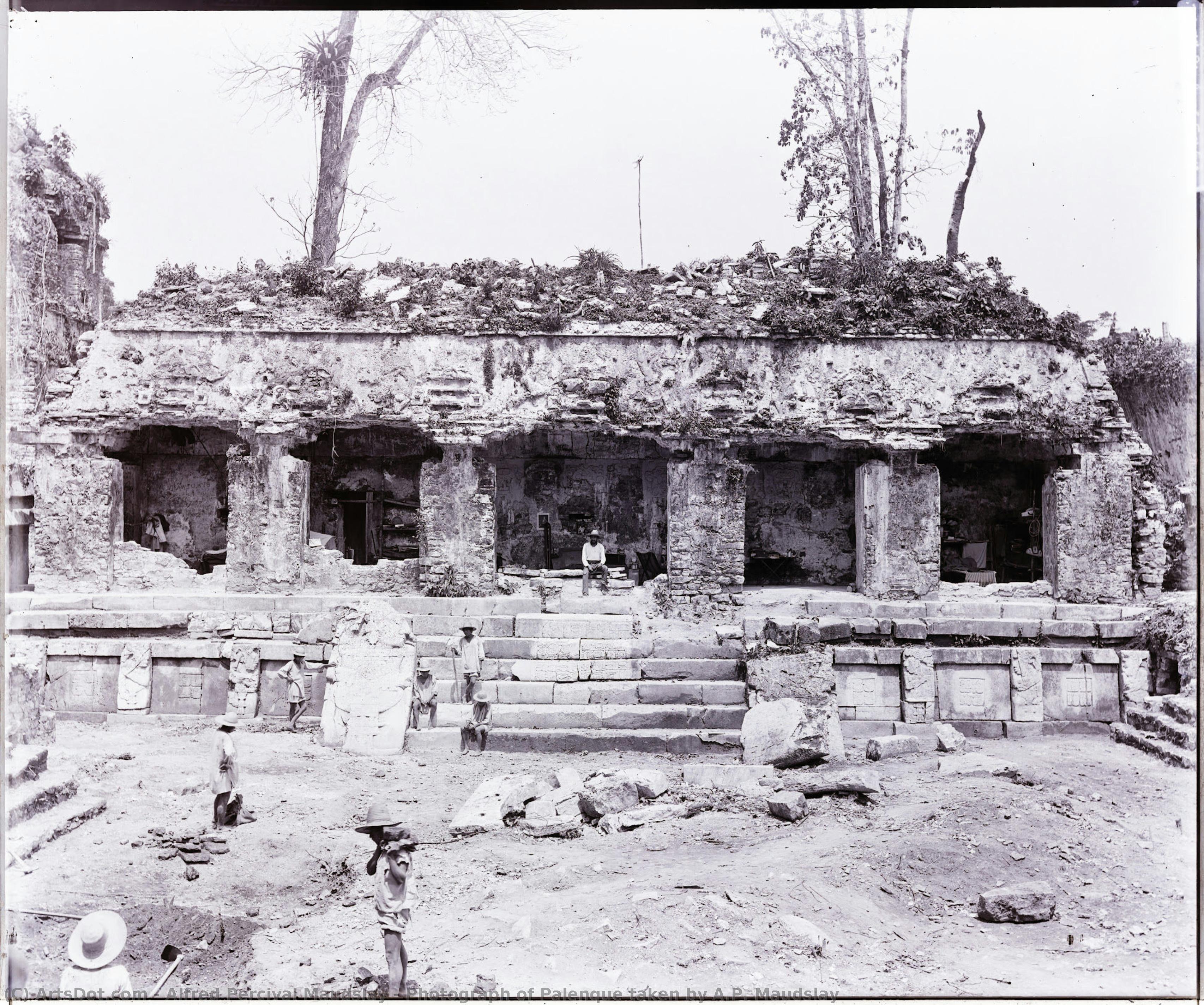 Photograph Of Palenque Taken By A.p. Maudslay — Alfred Percival Maudslay