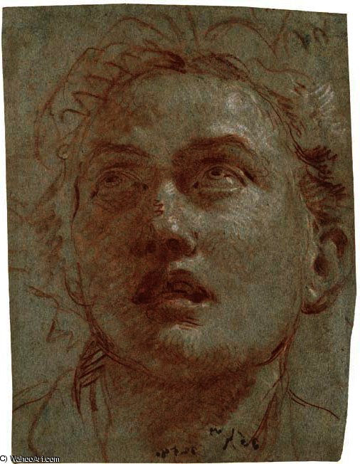 Head Of A Man Looking Up — Giambattista Tiepolo