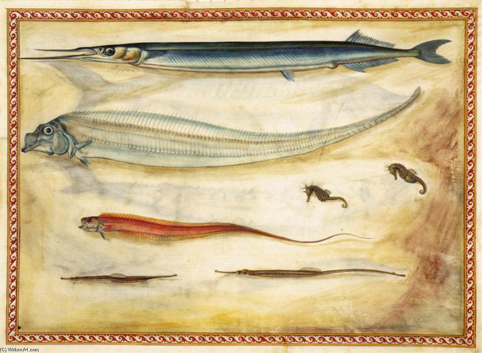 Sea Animals — Giorgio Liberale