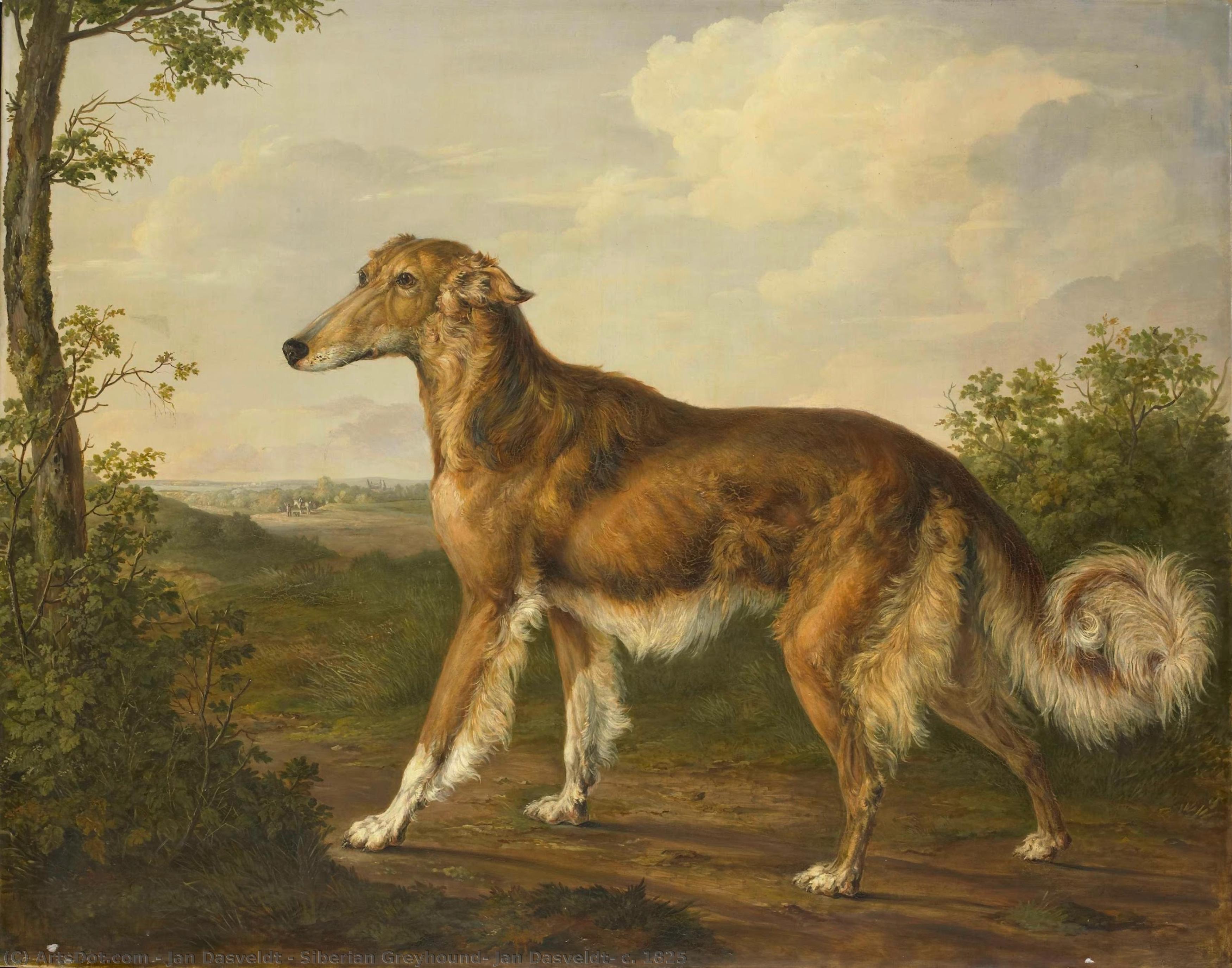 Siberian Greyhound, Jan Dasveldt, C. 1825 — Jan Dasveldt