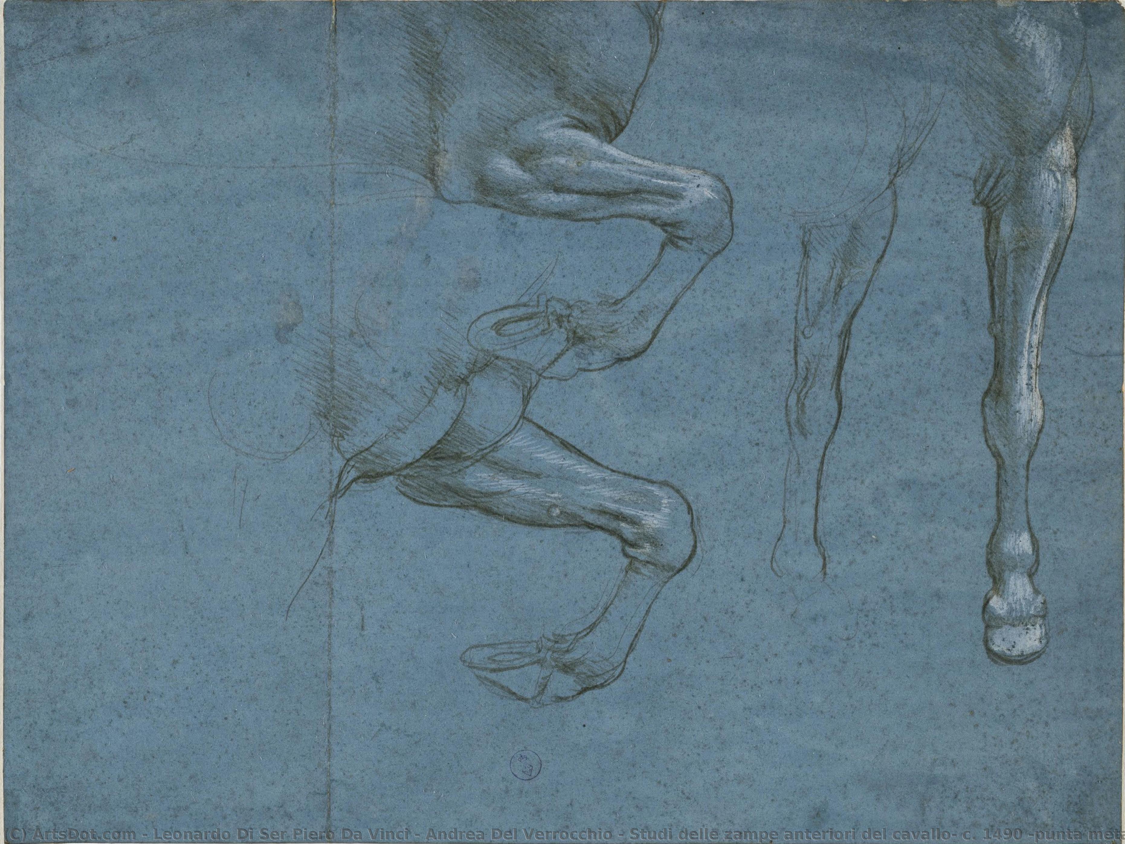 Studien Der Vorderbeine Eines Pferdes, Ca. 1490 (metallgriffel Und Bleiweiß-lichter Auf Blau Grundiertem Papier) — Leonardo Da Vinci Und Andrea Del Verrocchio