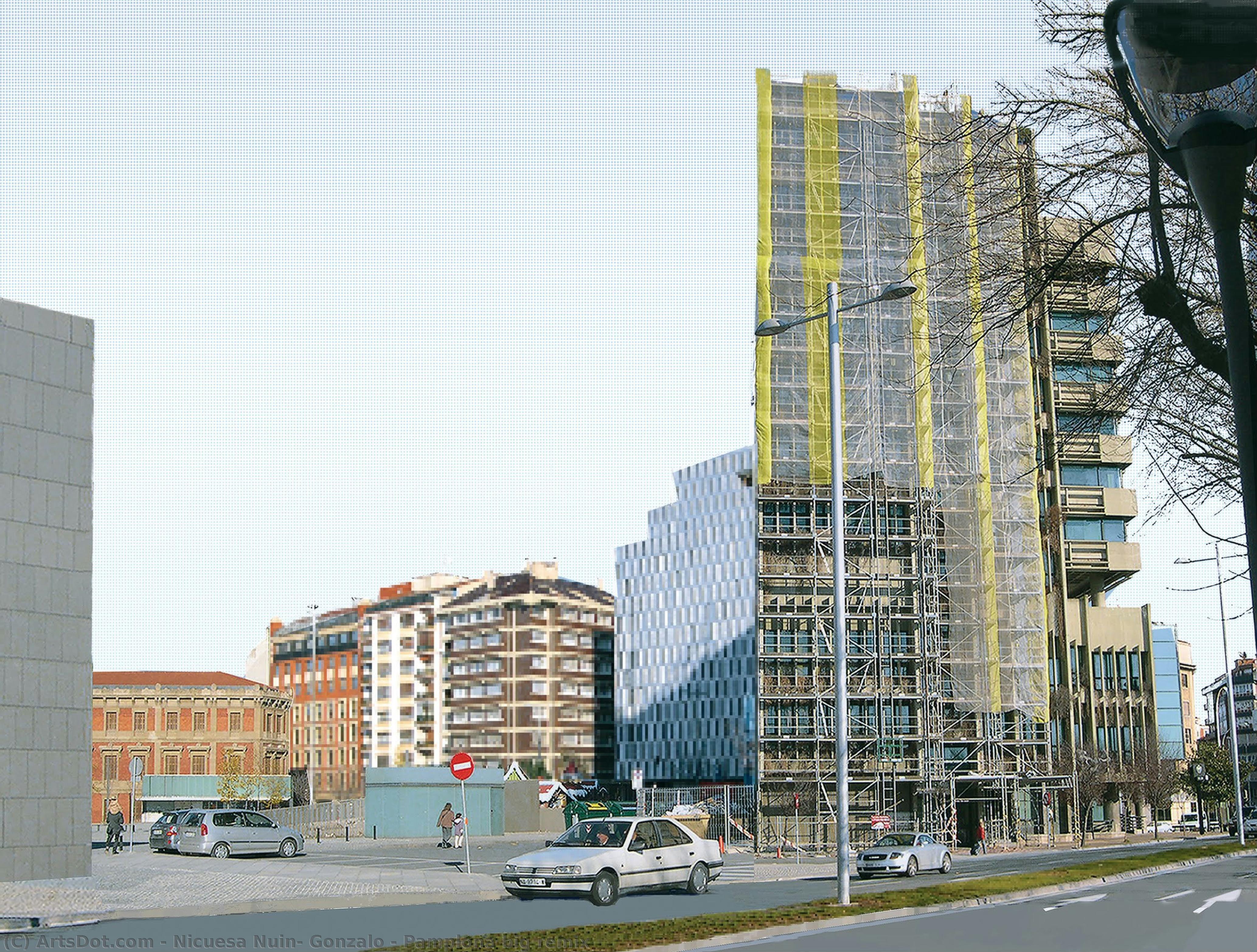 Pamplona Big Remix — Nicuesa Nuin, Gonzalo