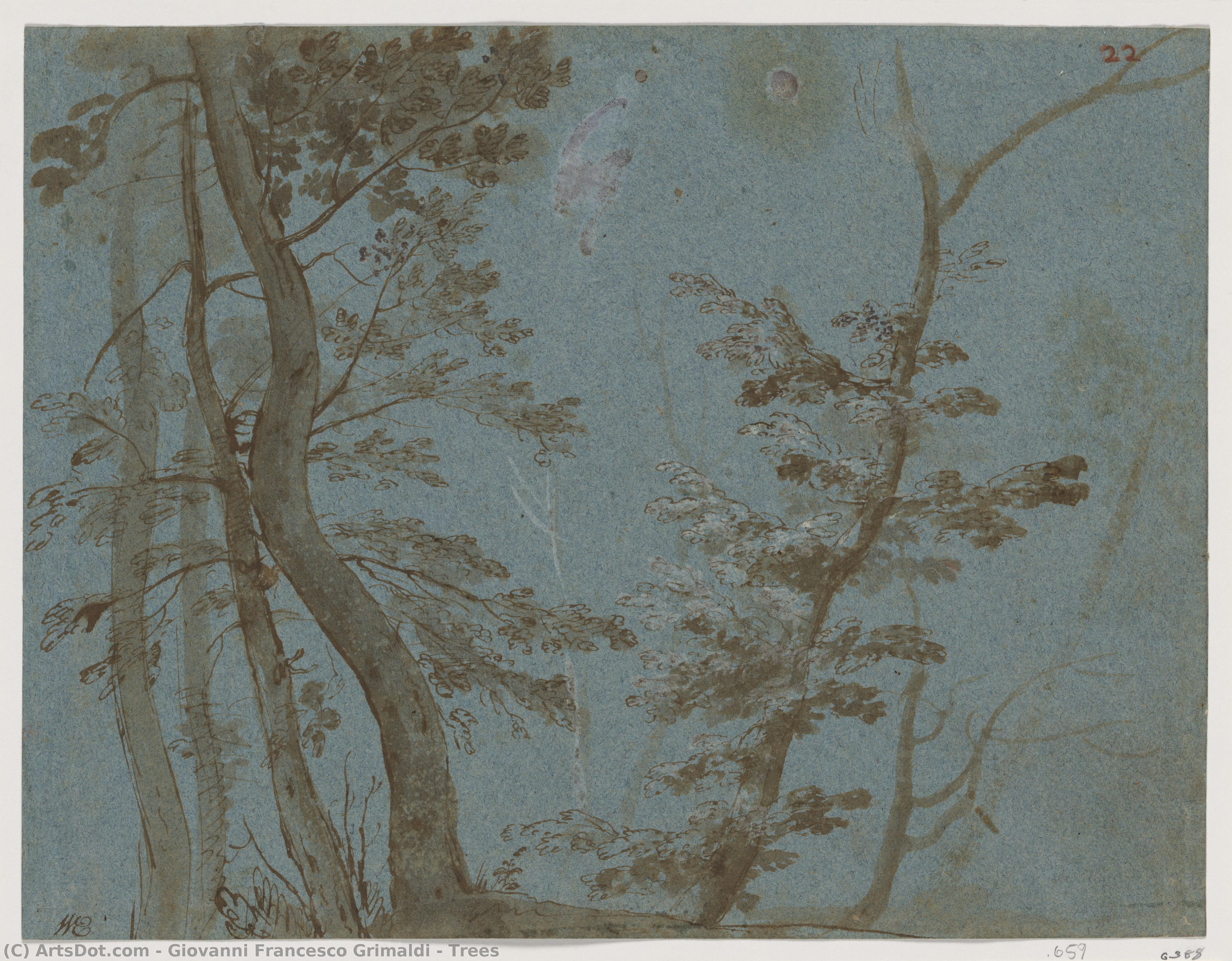 Trees — Giovanni Francesco Grimaldi