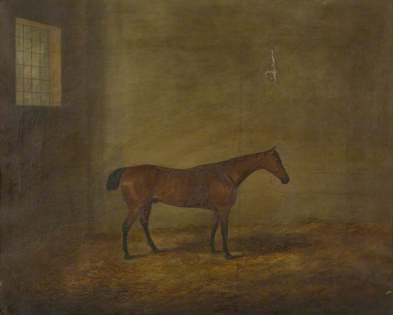 Bay Stallion In A Stable — James Barenger