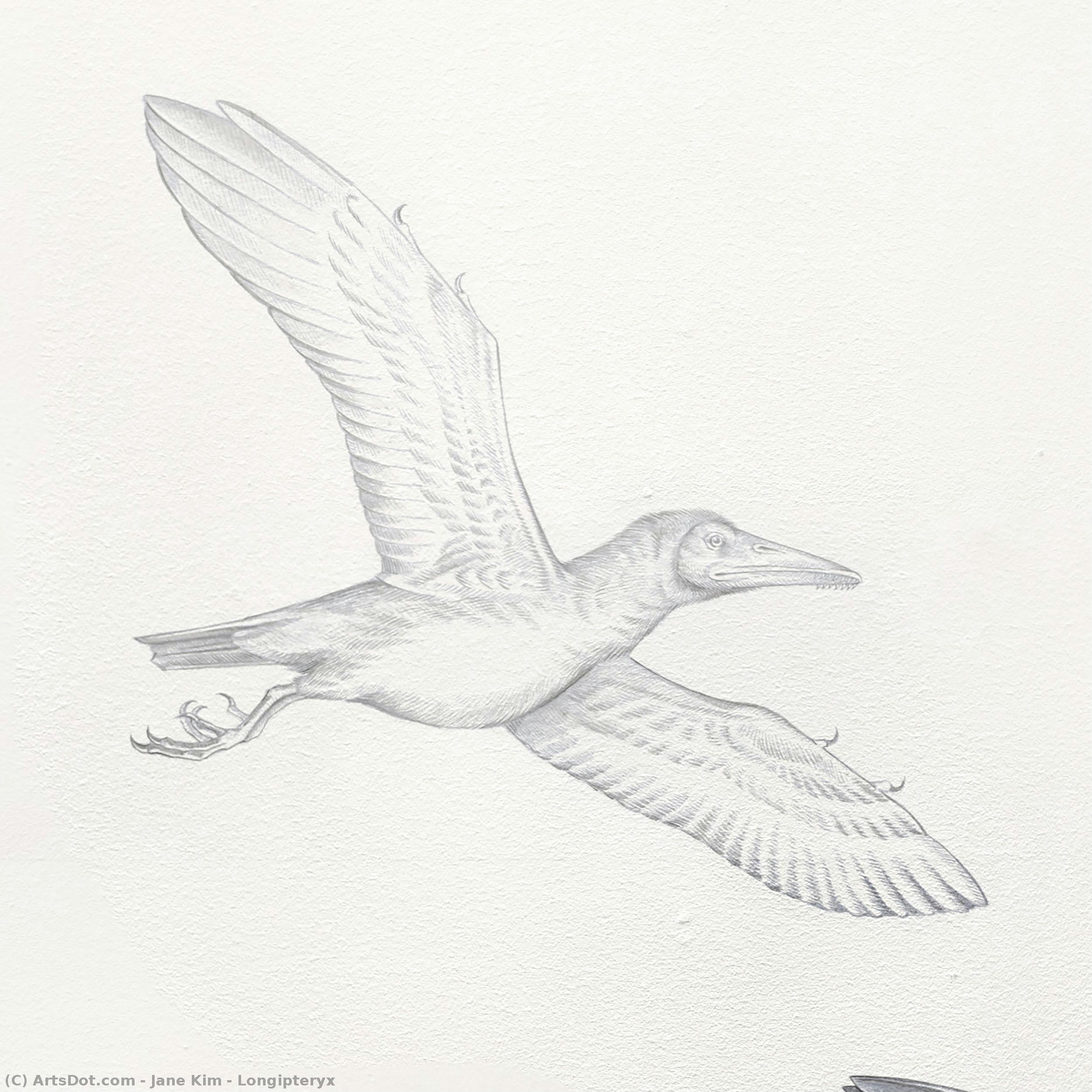 Longipteryx — Jane Kim