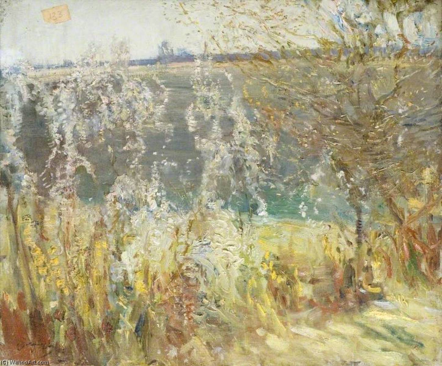 Study Of Blossoms, Cornwall — Sir Alfred James Munnings