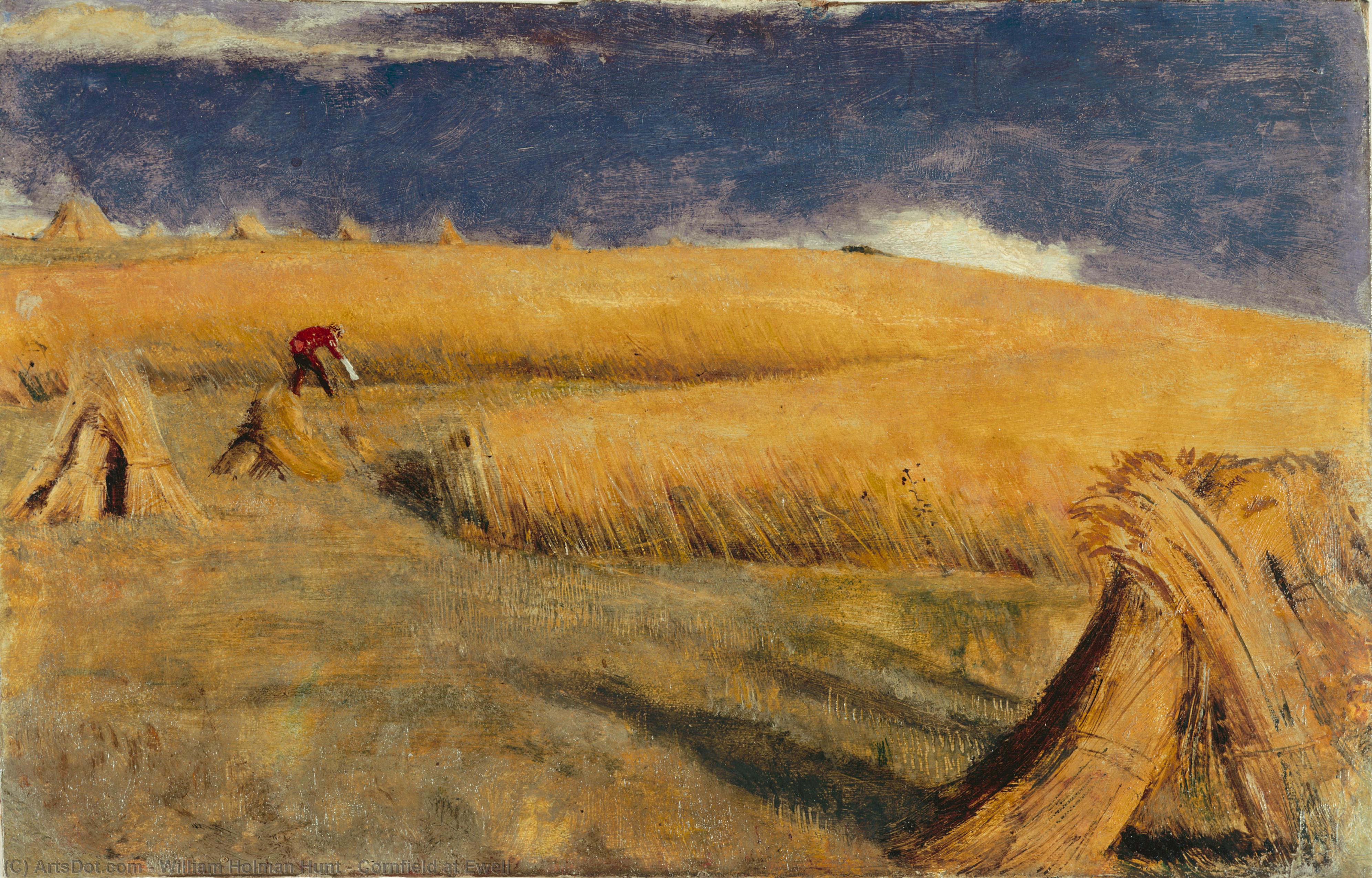 Cornfield At Ewell — ウィリアム・ホルマン・ハント