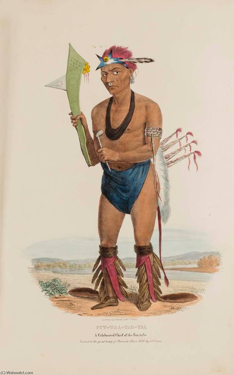 Cut Taa Tas Tia A Celebrated Chief Of The Fox Tribe, From The Aboriginal Portfolio — James Otto Lewis