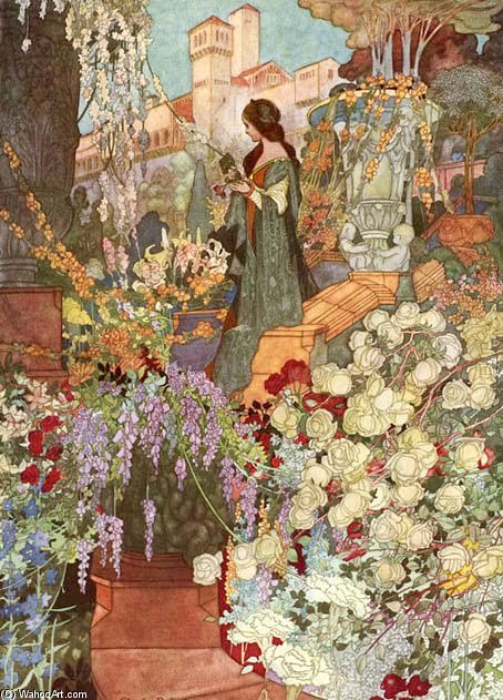Sensitive Plant Image — Charles Robinson