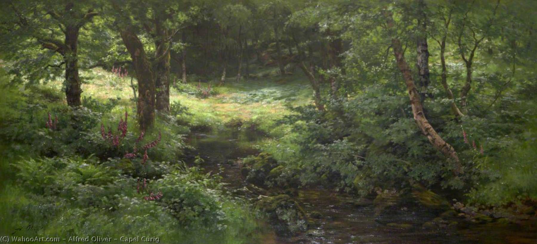 Capel Curig — Alfred Oliver