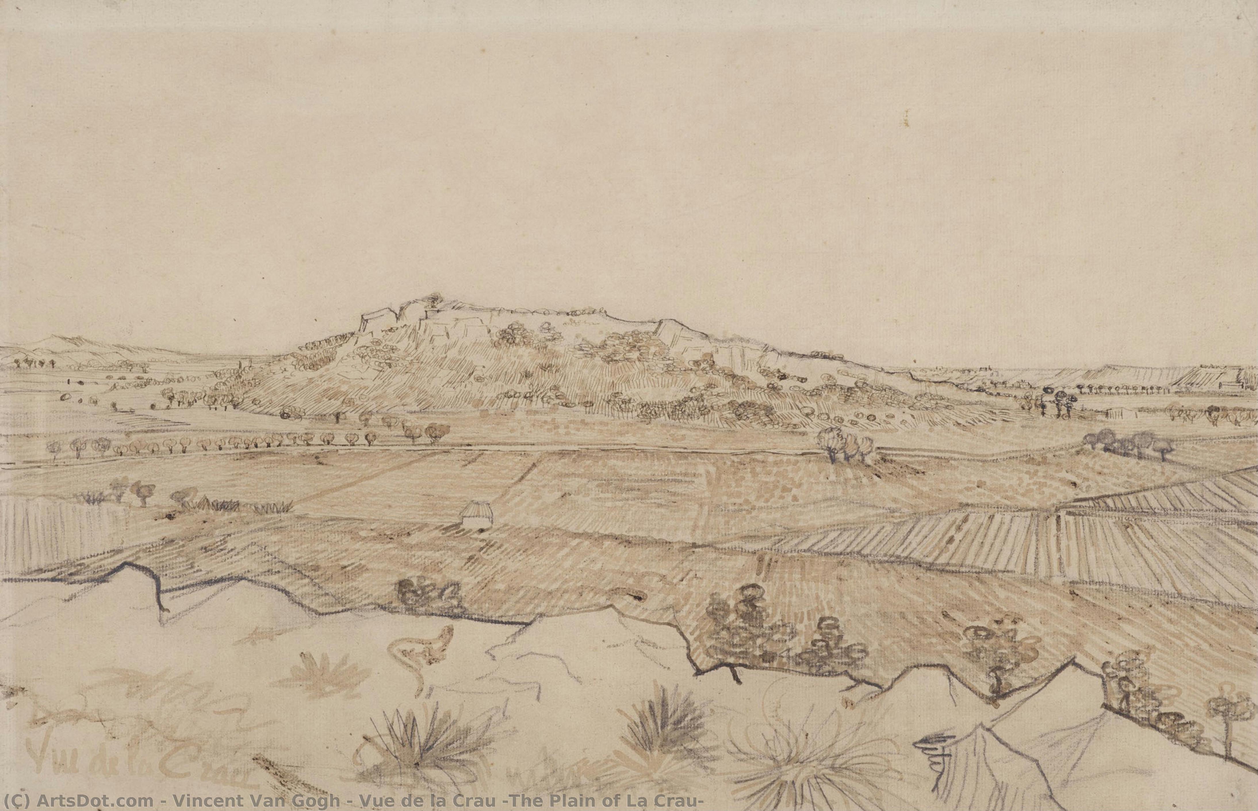 Vue De La Crau (die Ebene Von La Crau) — Vincent Willem Van Gogh