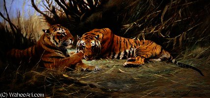 Siberian Tigers — Фридрих Вильгельм Кунерт