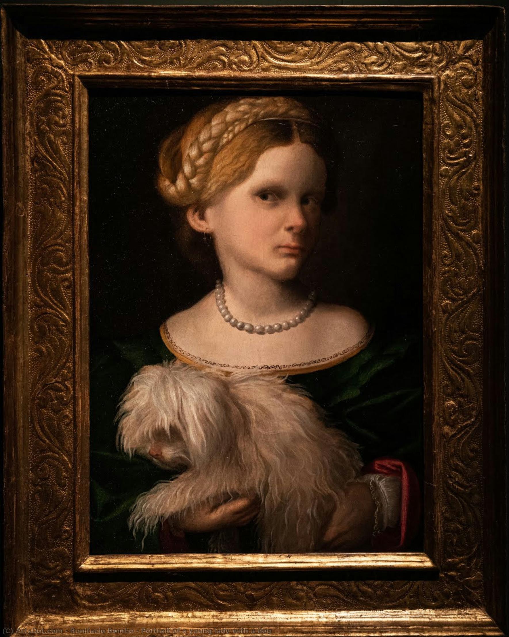 Portrait Of A Young Lady With A Dog — Bonifazio Bembo