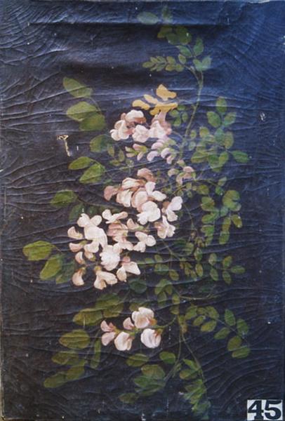 Fleurs D'acacias — Babey Théodore