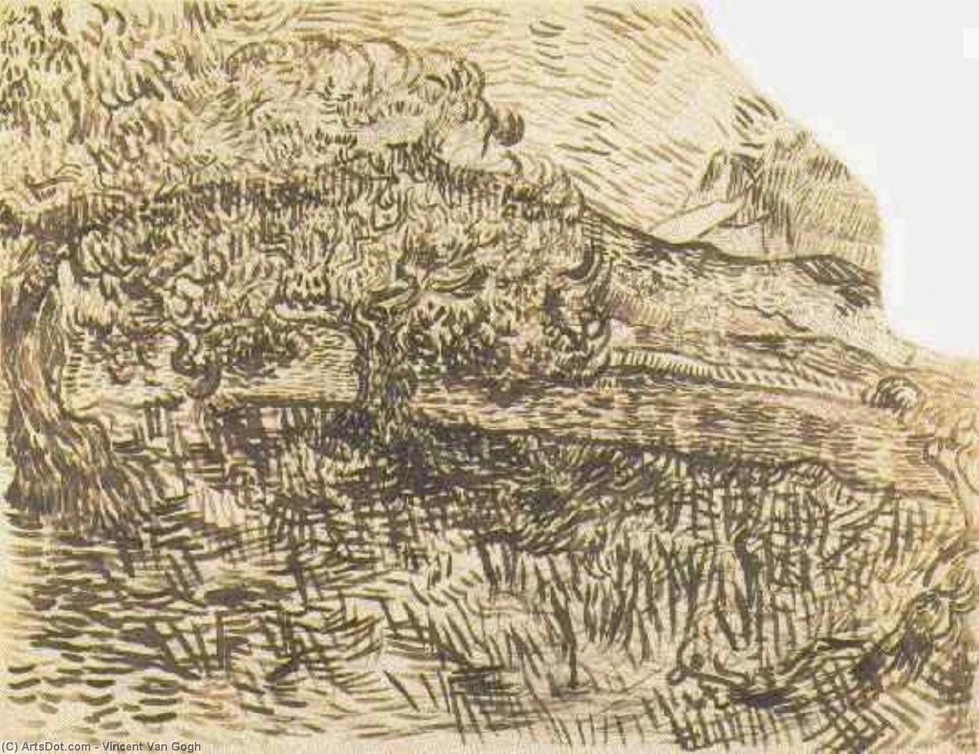 Olive Trees In A Mountain Landscape — Vincent Willem Van Gogh
