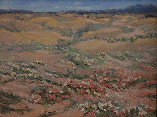 Sand Verbena And Evening Primrose, (painting) — Mary Agnes Yerkes