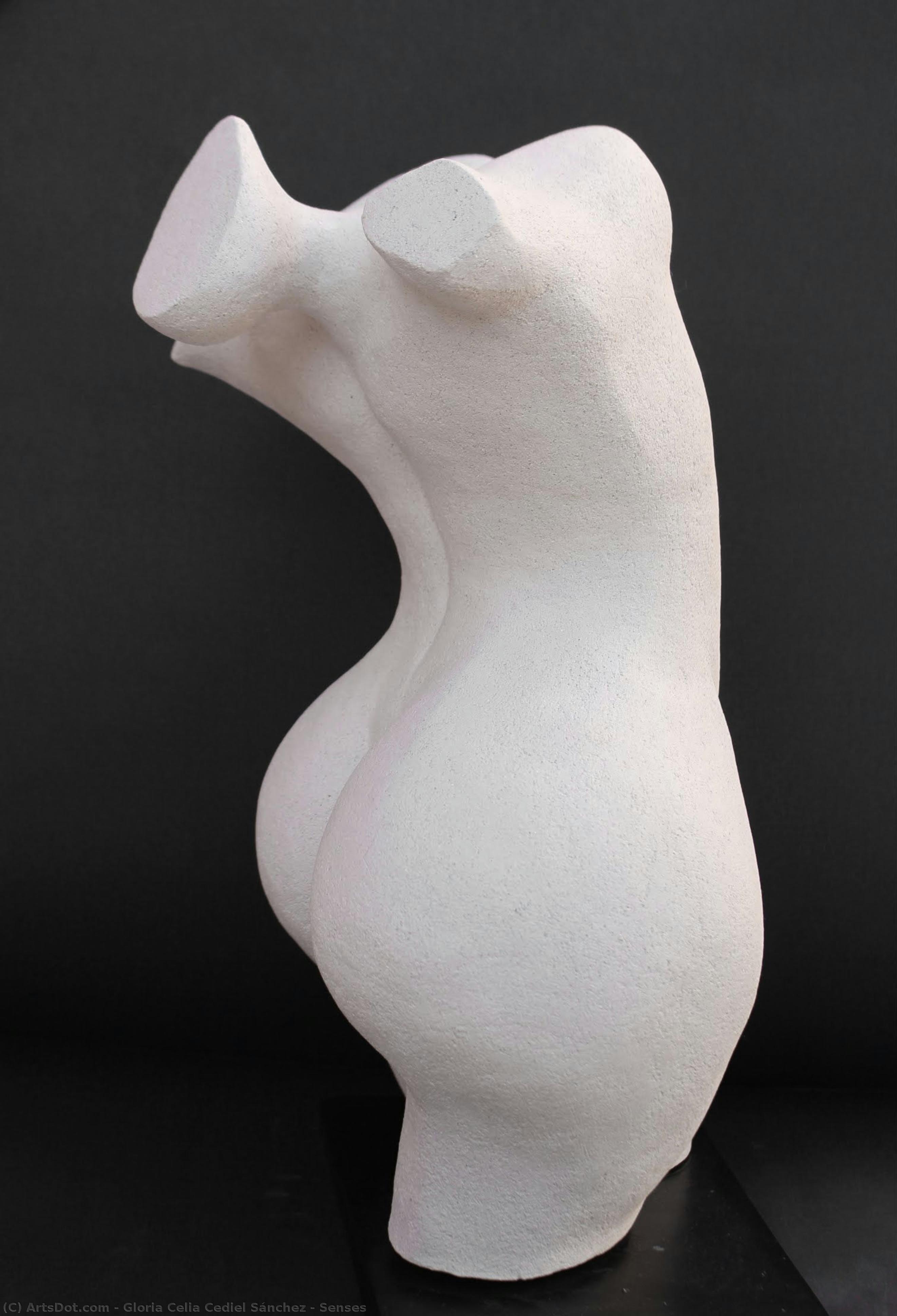 Senses — Gloria Celia Cediel Sánchez